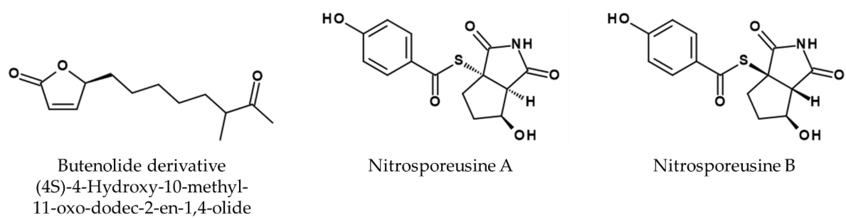 Viruses 14 02452 g009 Viruses 14 02452 g009