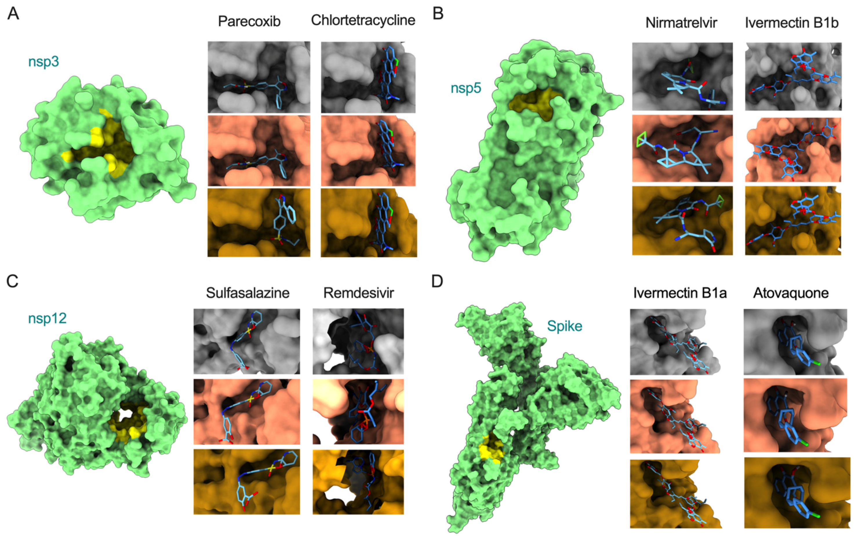 Viruses 14 02461 g003 Viruses 14 02461 g003