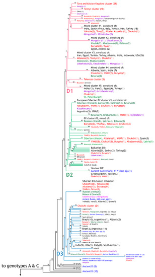 Viruses 14 02465 g002a Viruses 14 02465 g002a