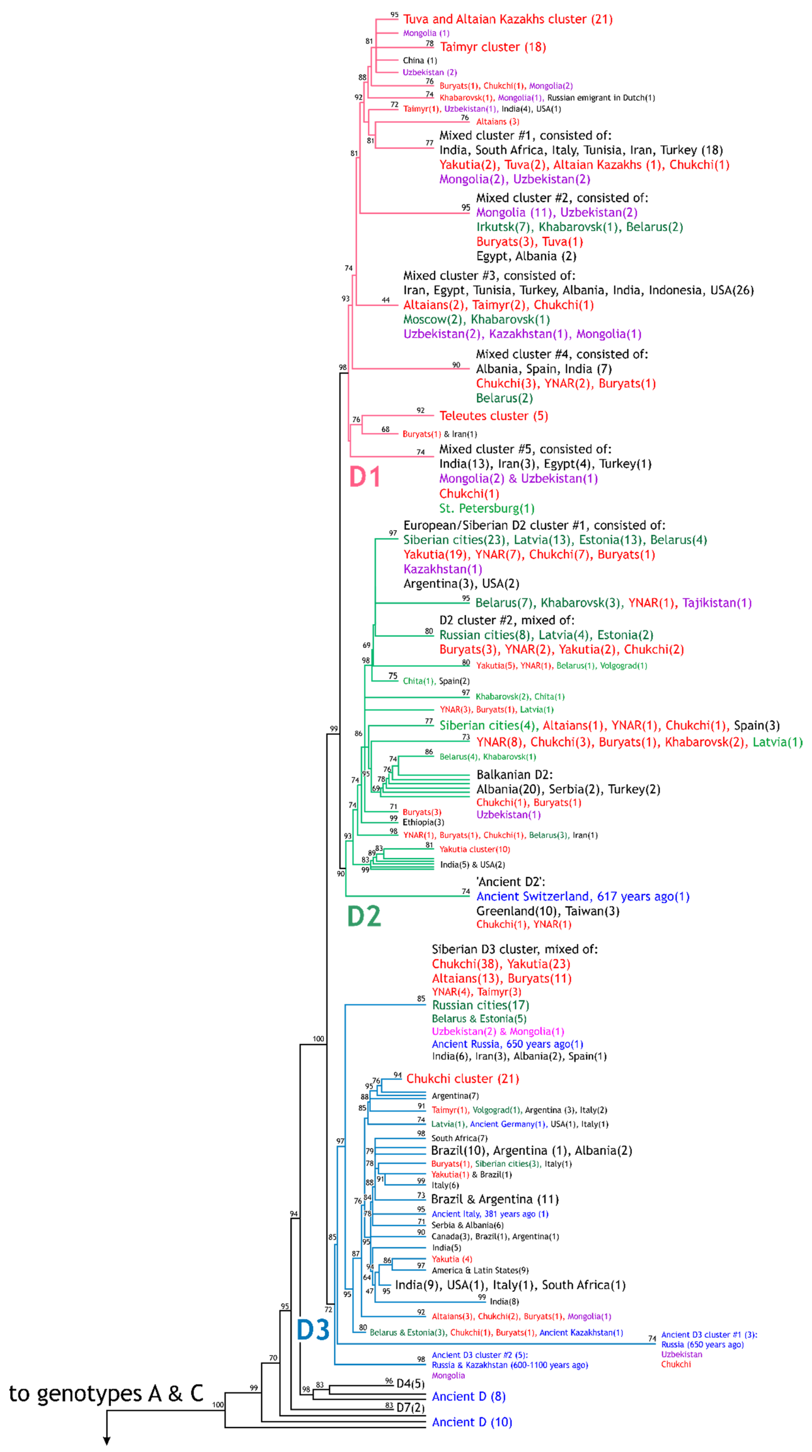 Viruses 14 02465 g002a