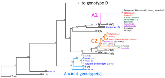 Viruses 14 02465 g002b