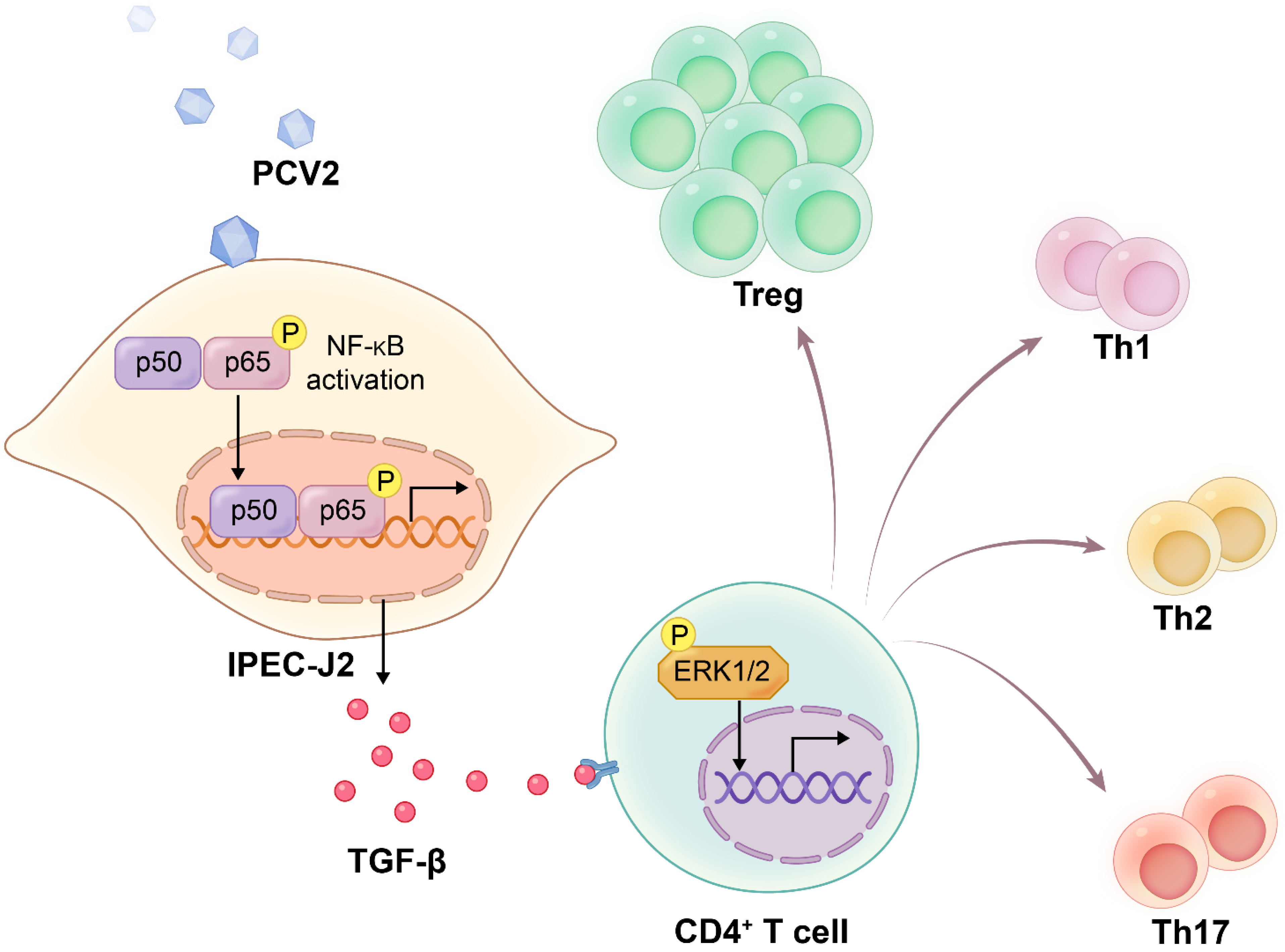 Viruses 14 02466 g006 Viruses 14 02466 g006