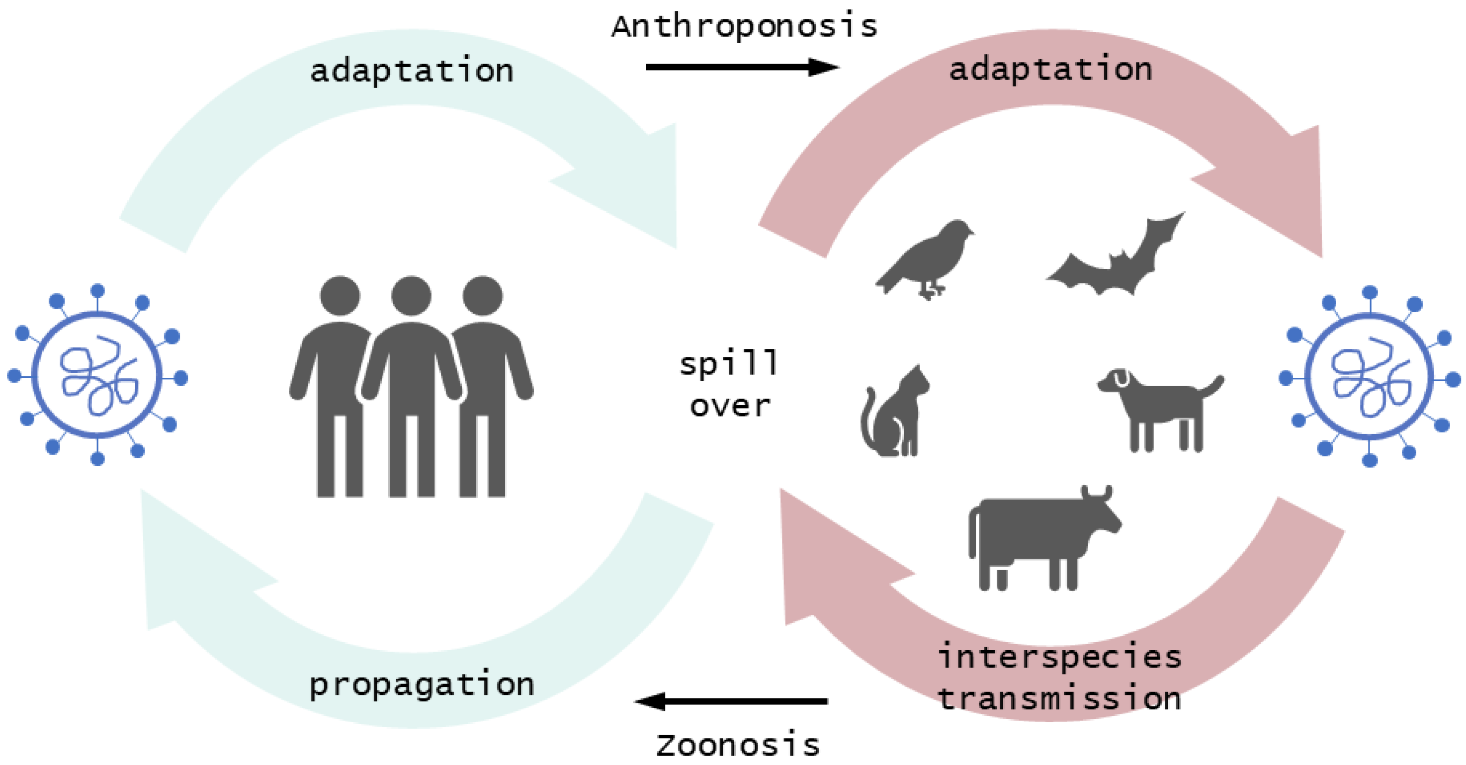 Viruses 14 02473 g002