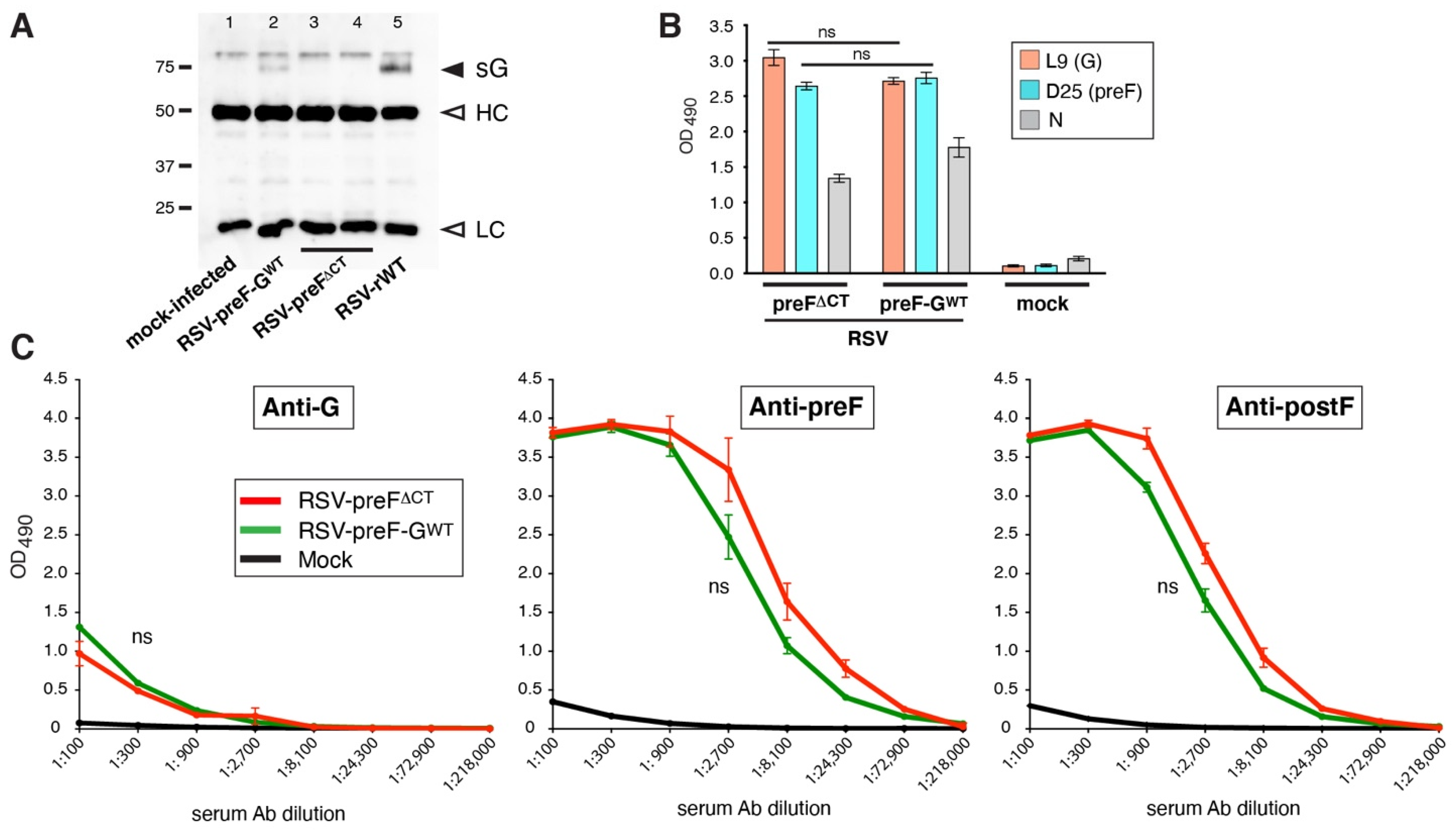Viruses 14 02474 g003 Viruses 14 02474 g003
