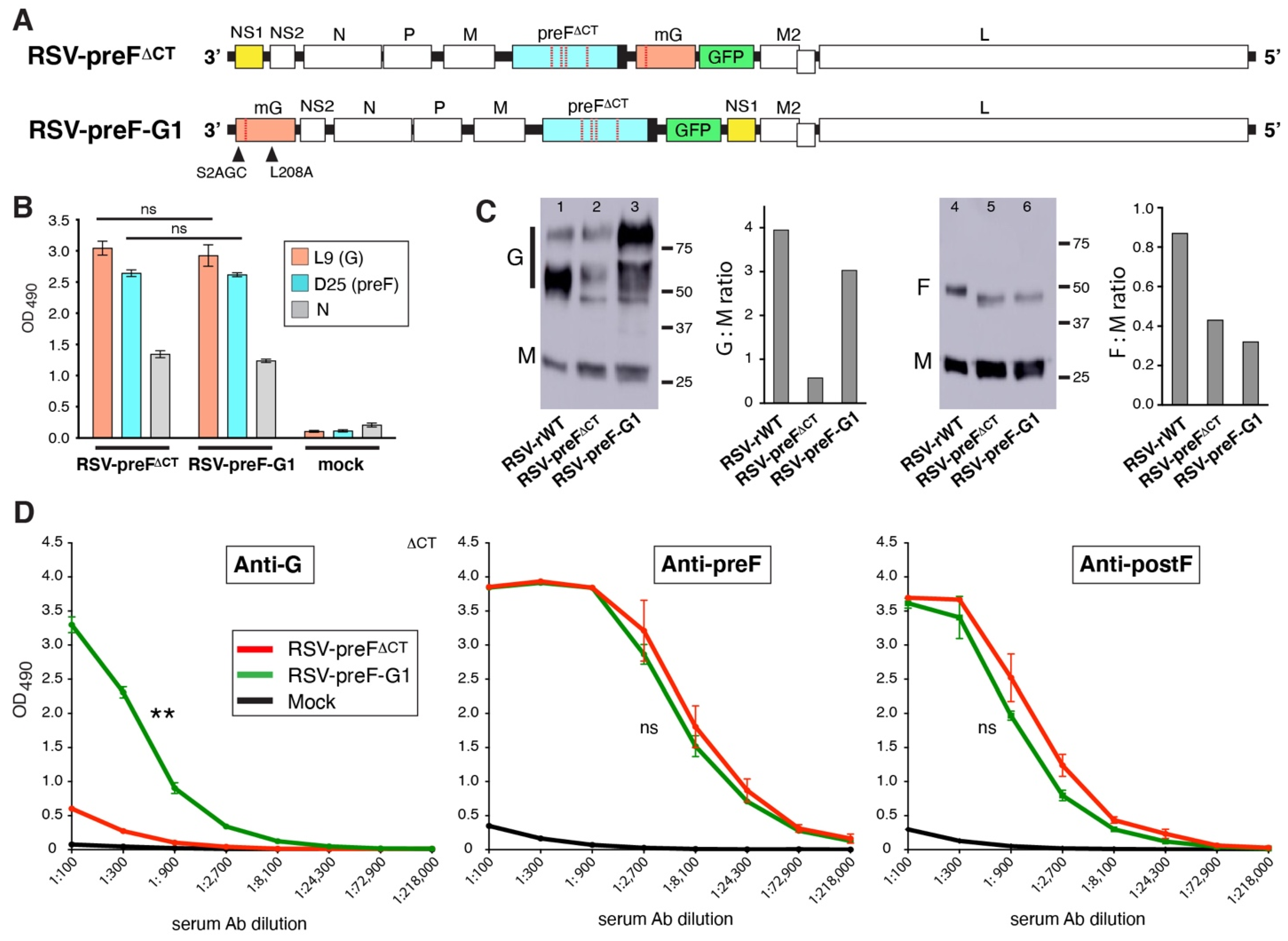 Viruses 14 02474 g006 Viruses 14 02474 g006