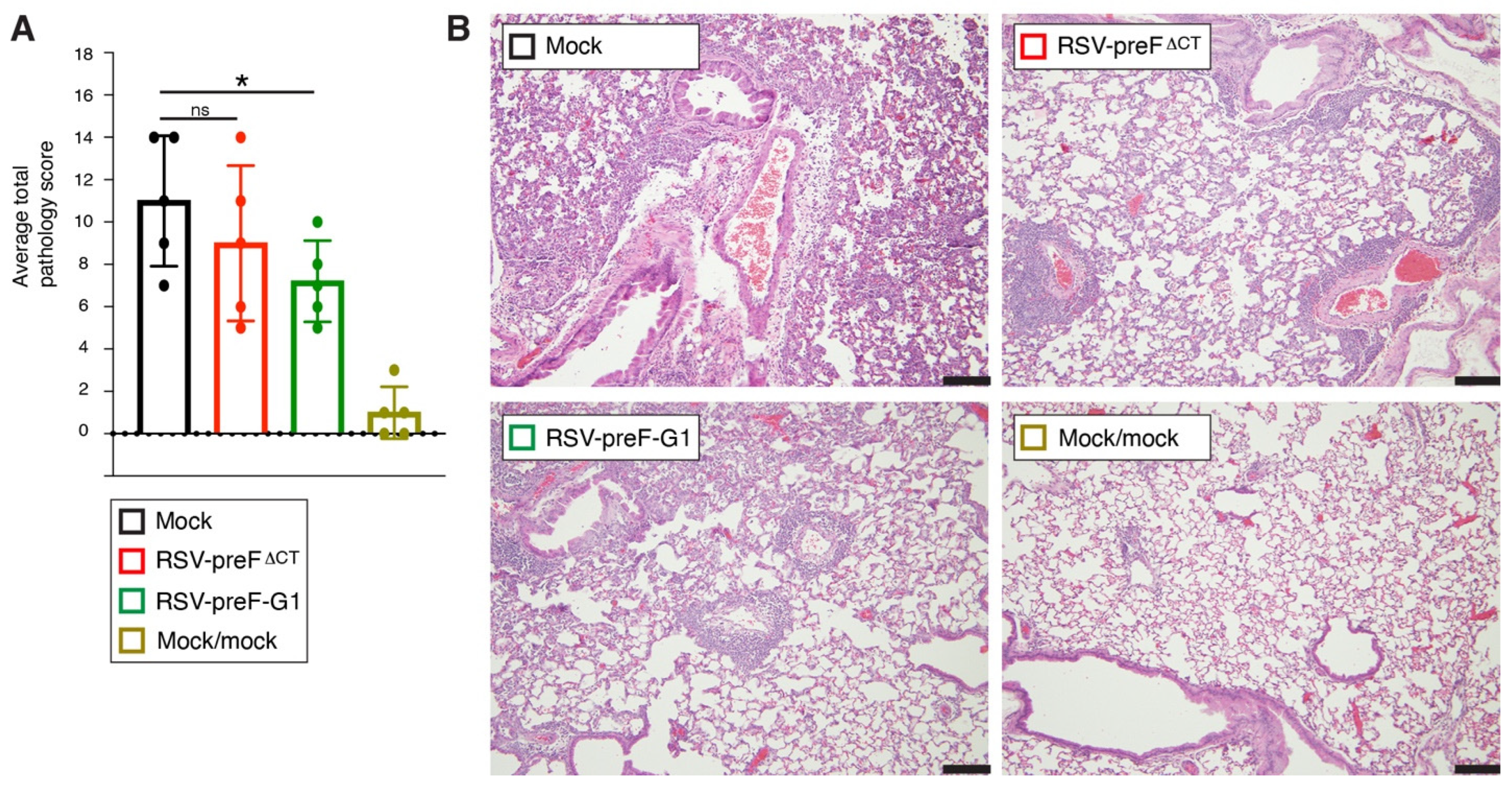 Viruses 14 02474 g009 Viruses 14 02474 g009