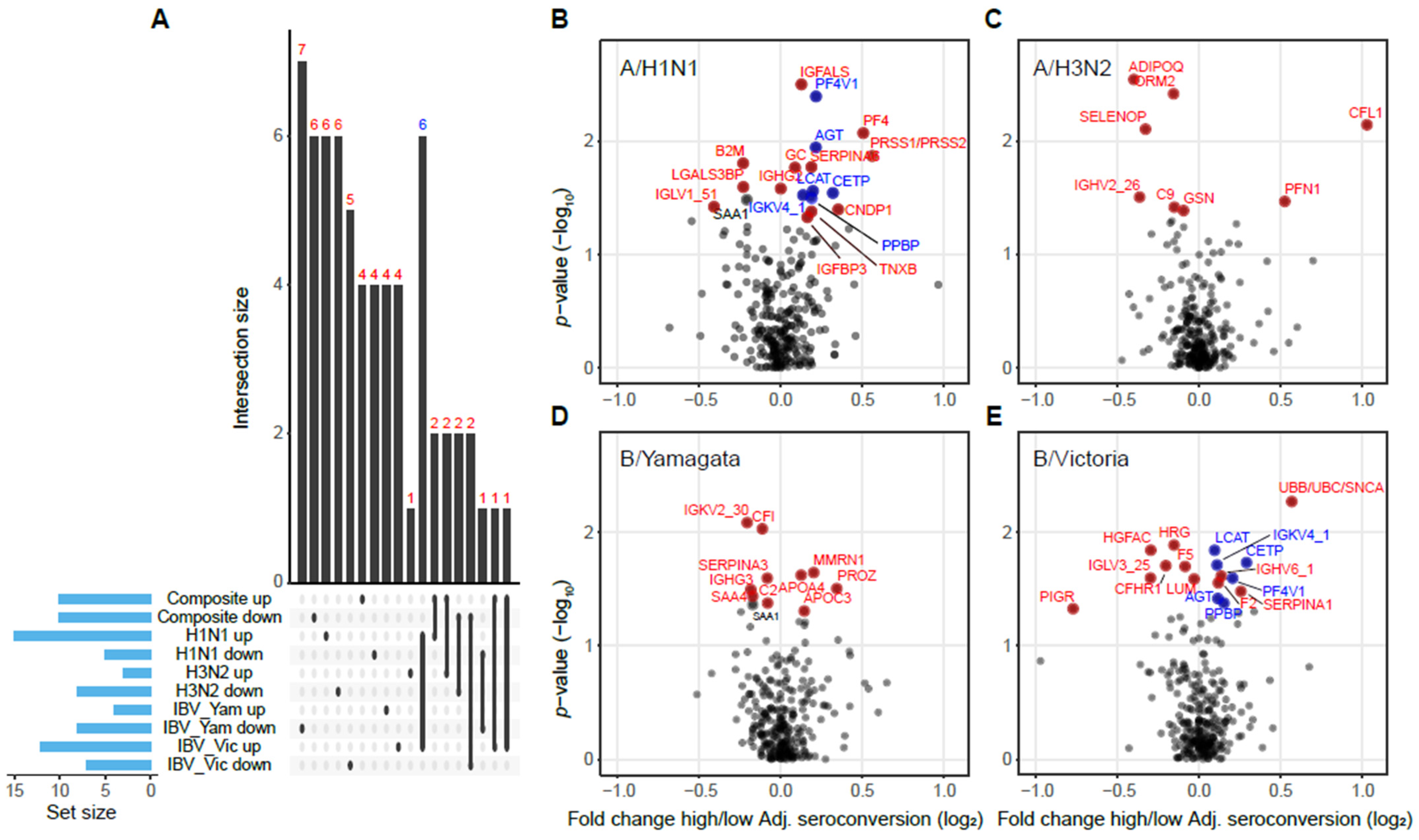 Viruses 14 02479 g004