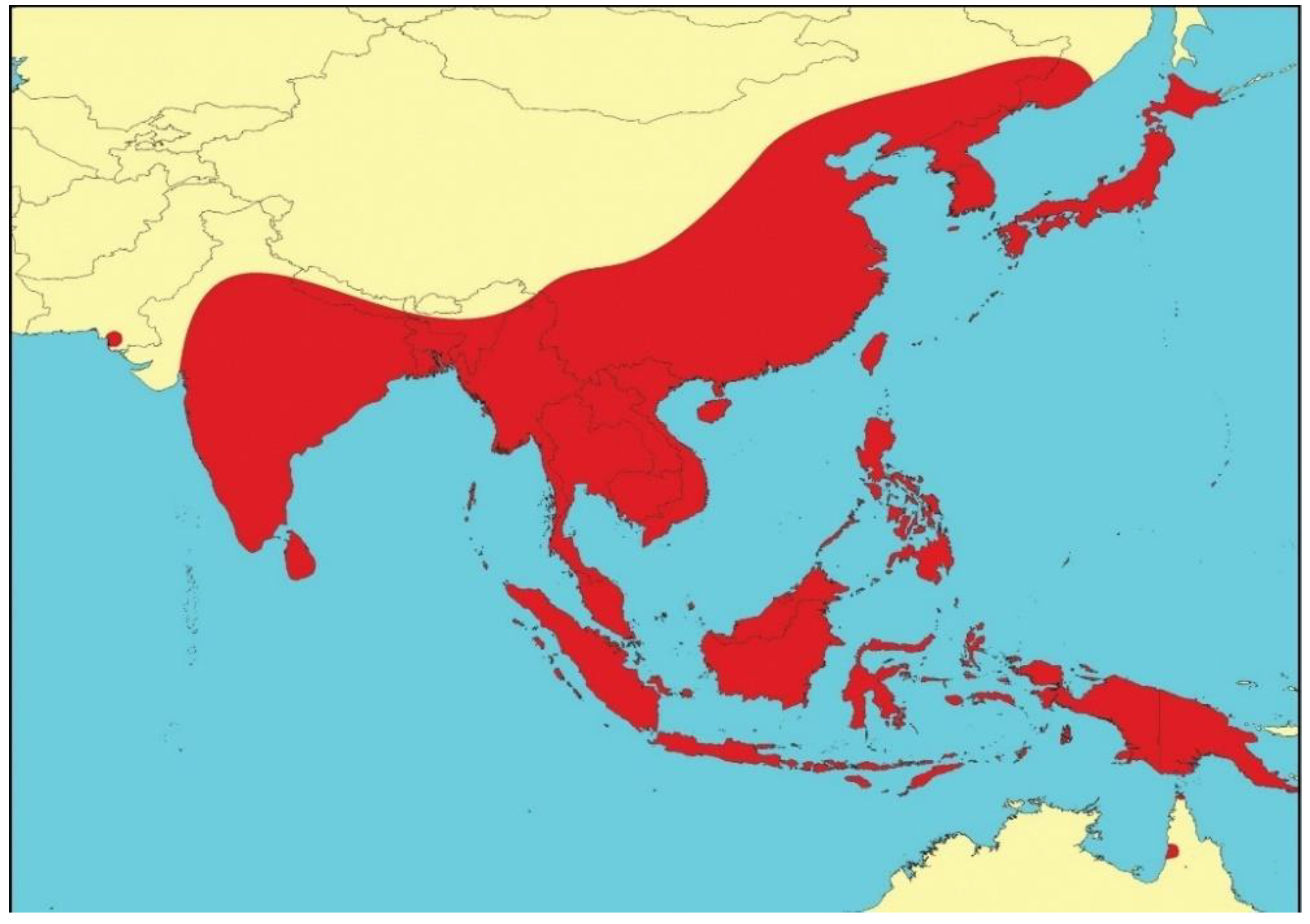 Viruses 14 02480 g001