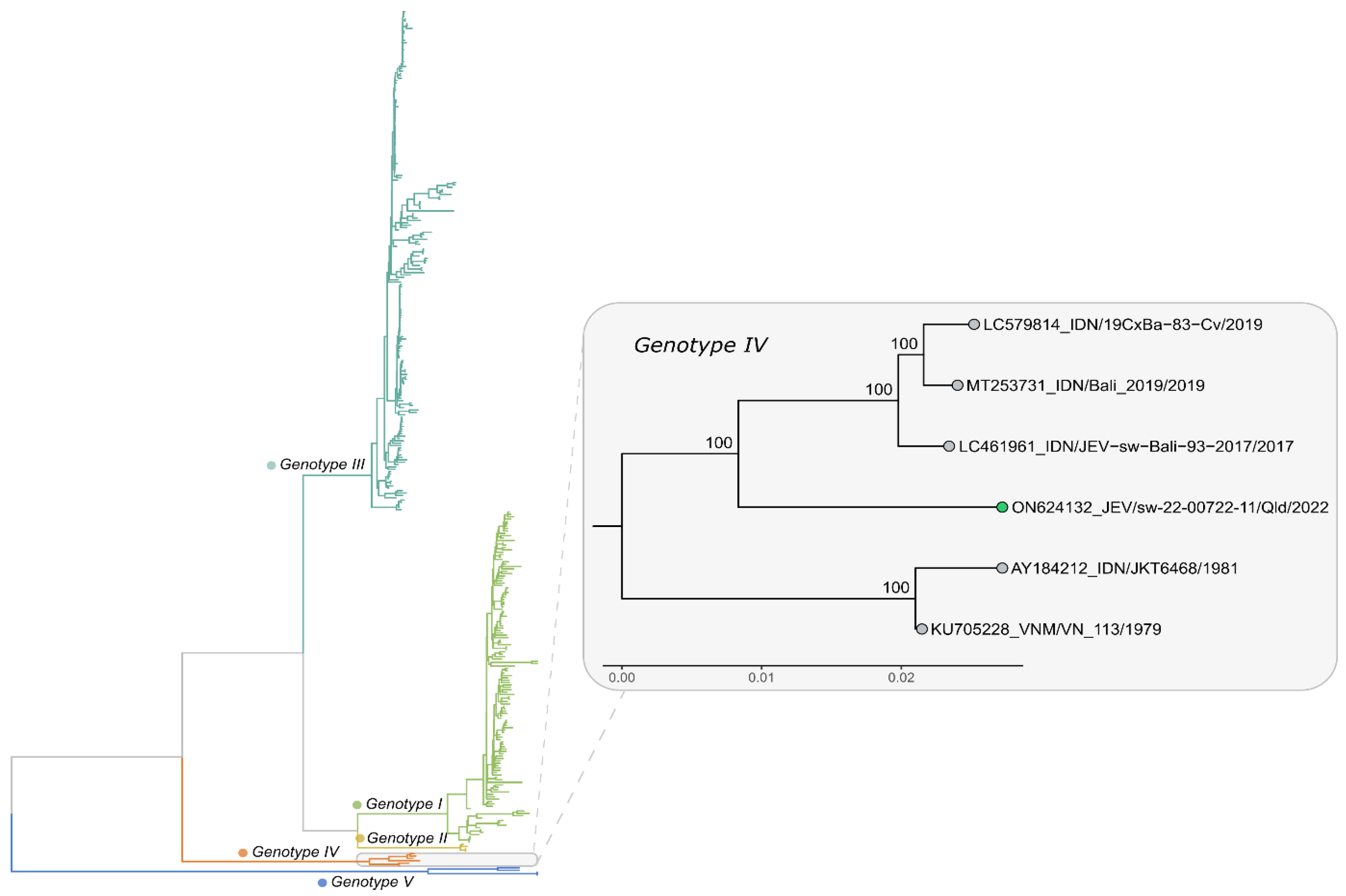 Viruses 14 02480 g004