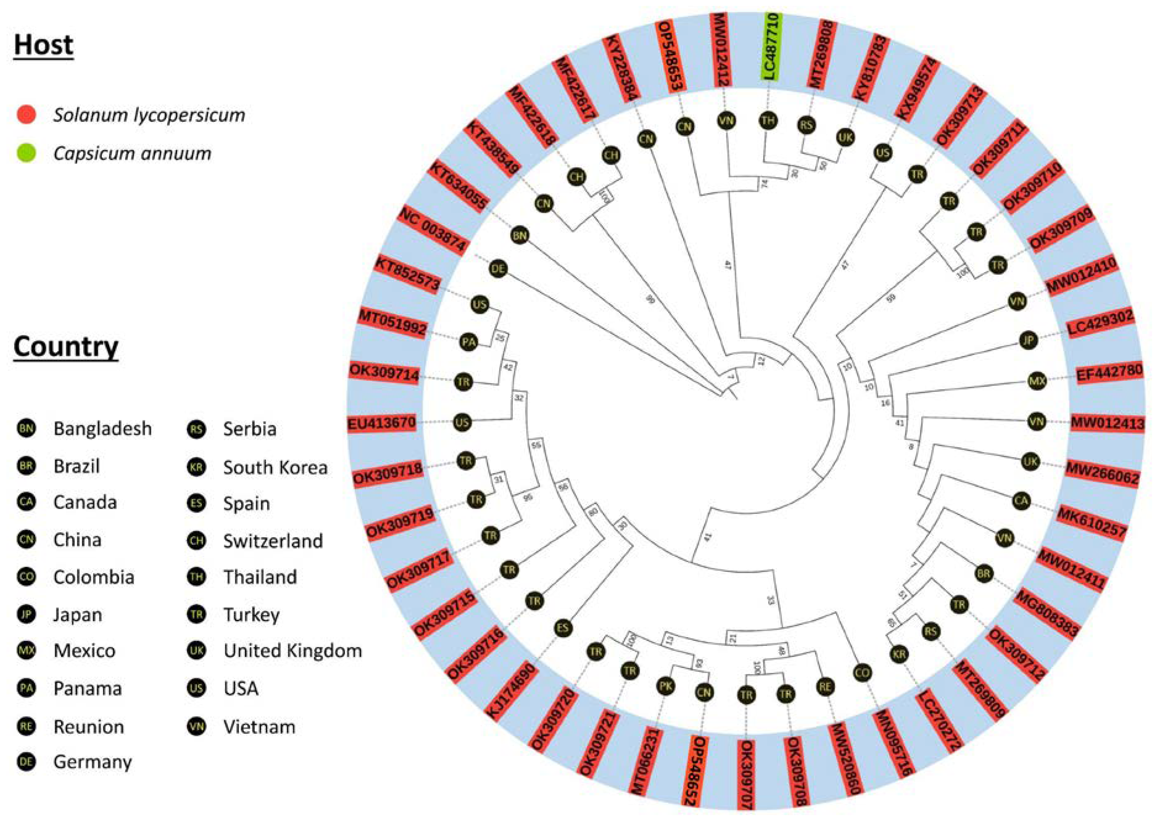 Viruses 14 02481 g004