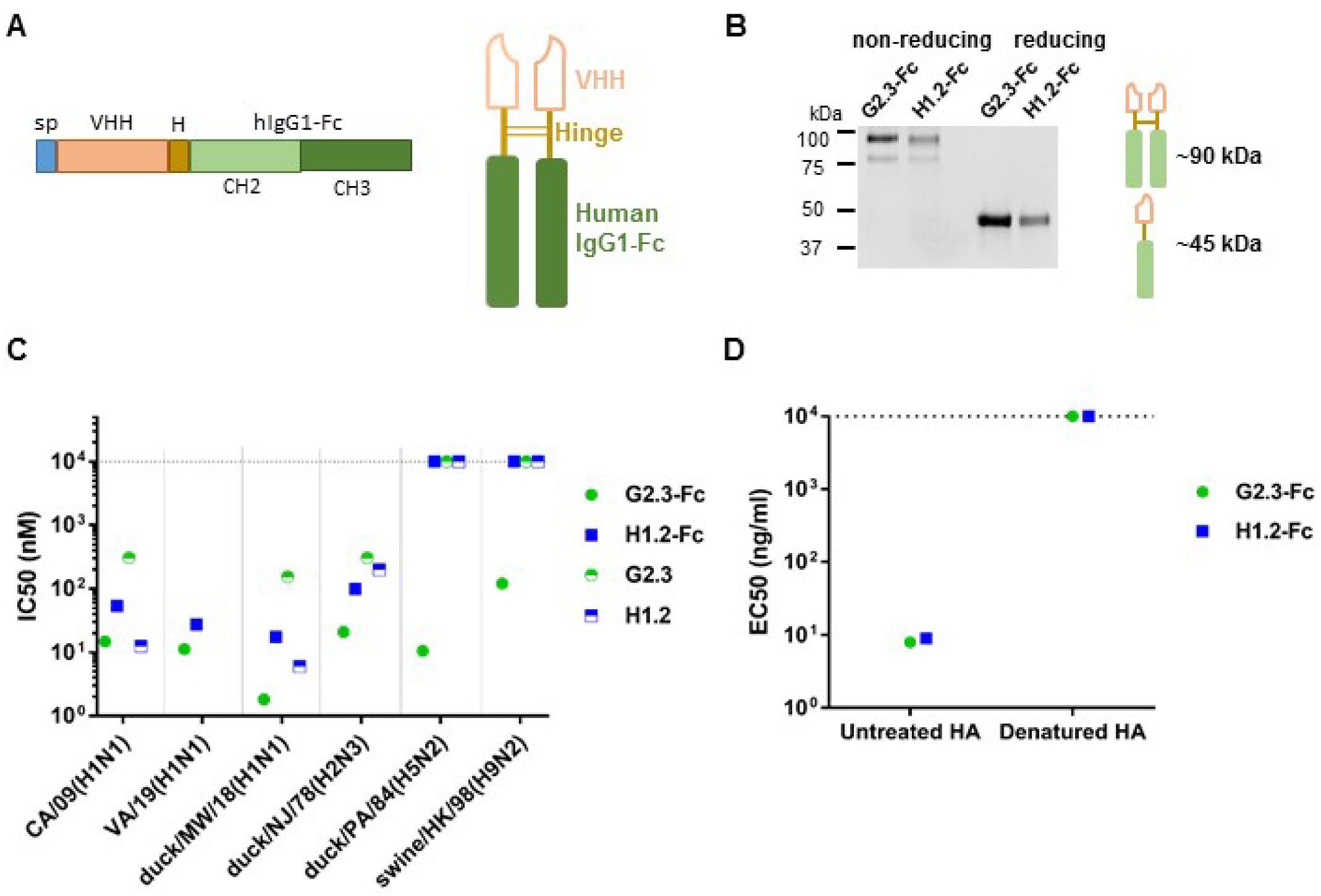 Viruses 14 02485 g001 Viruses 14 02485 g001