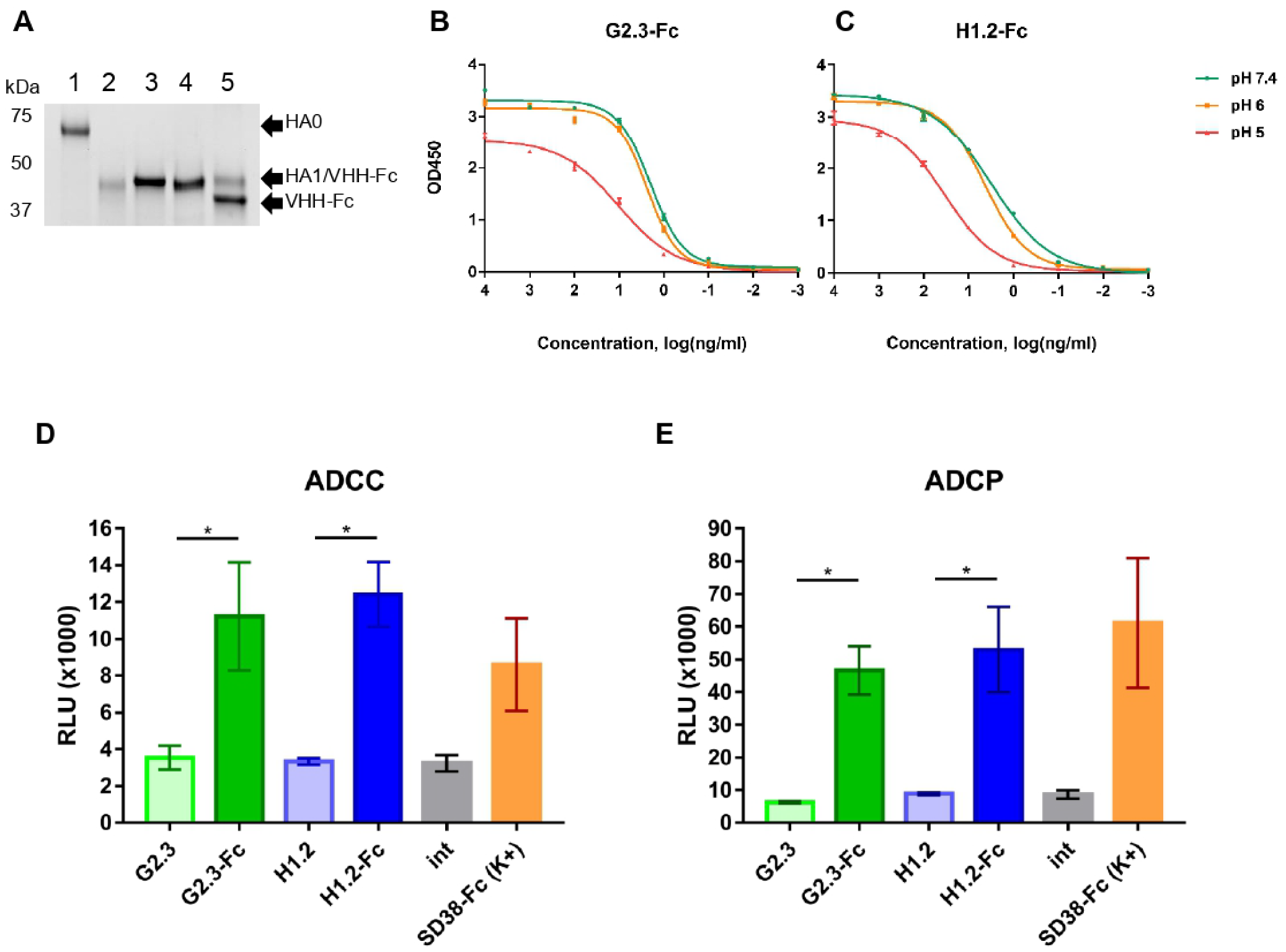 Viruses 14 02485 g002 Viruses 14 02485 g002