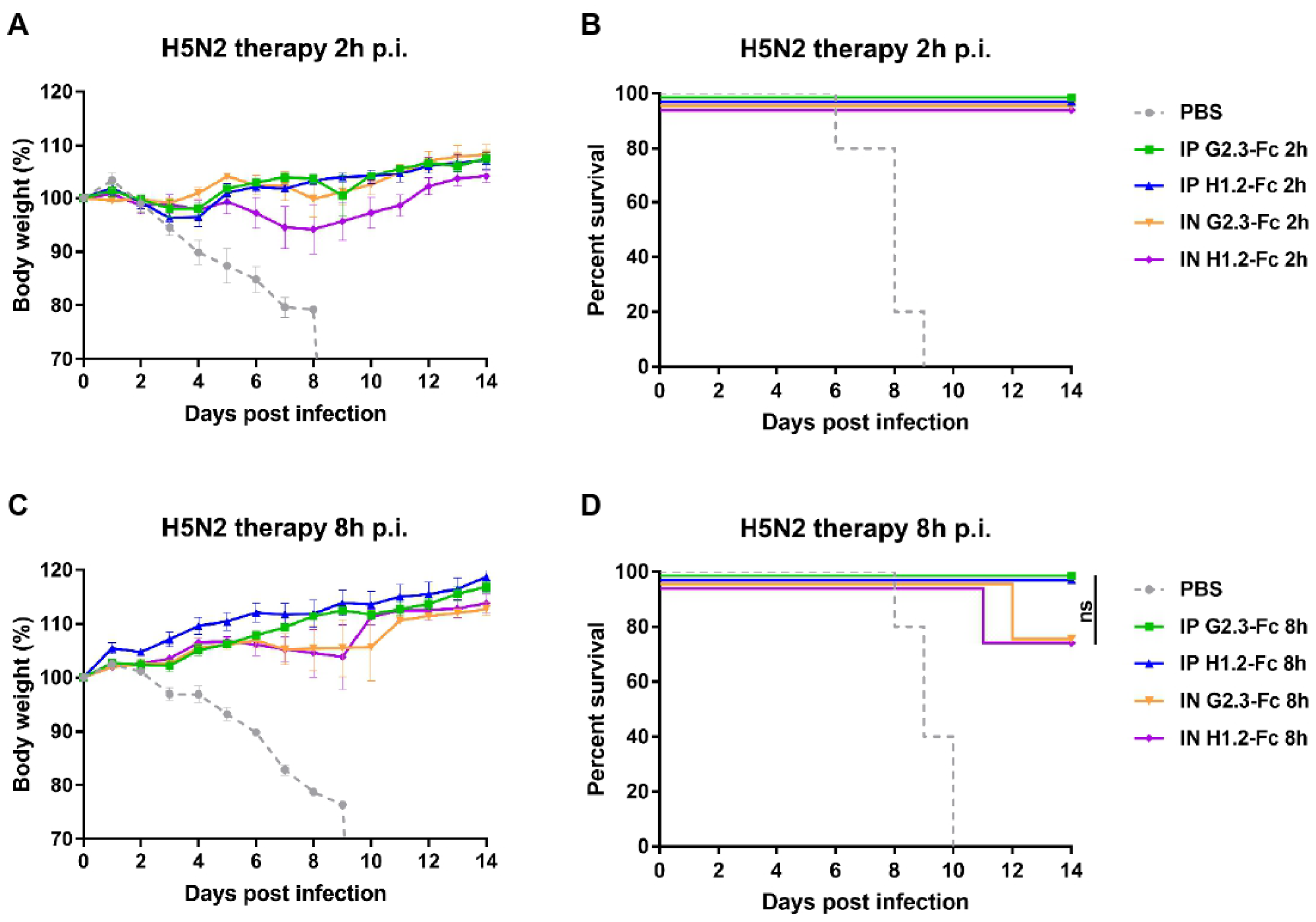 Viruses 14 02485 g006 Viruses 14 02485 g006