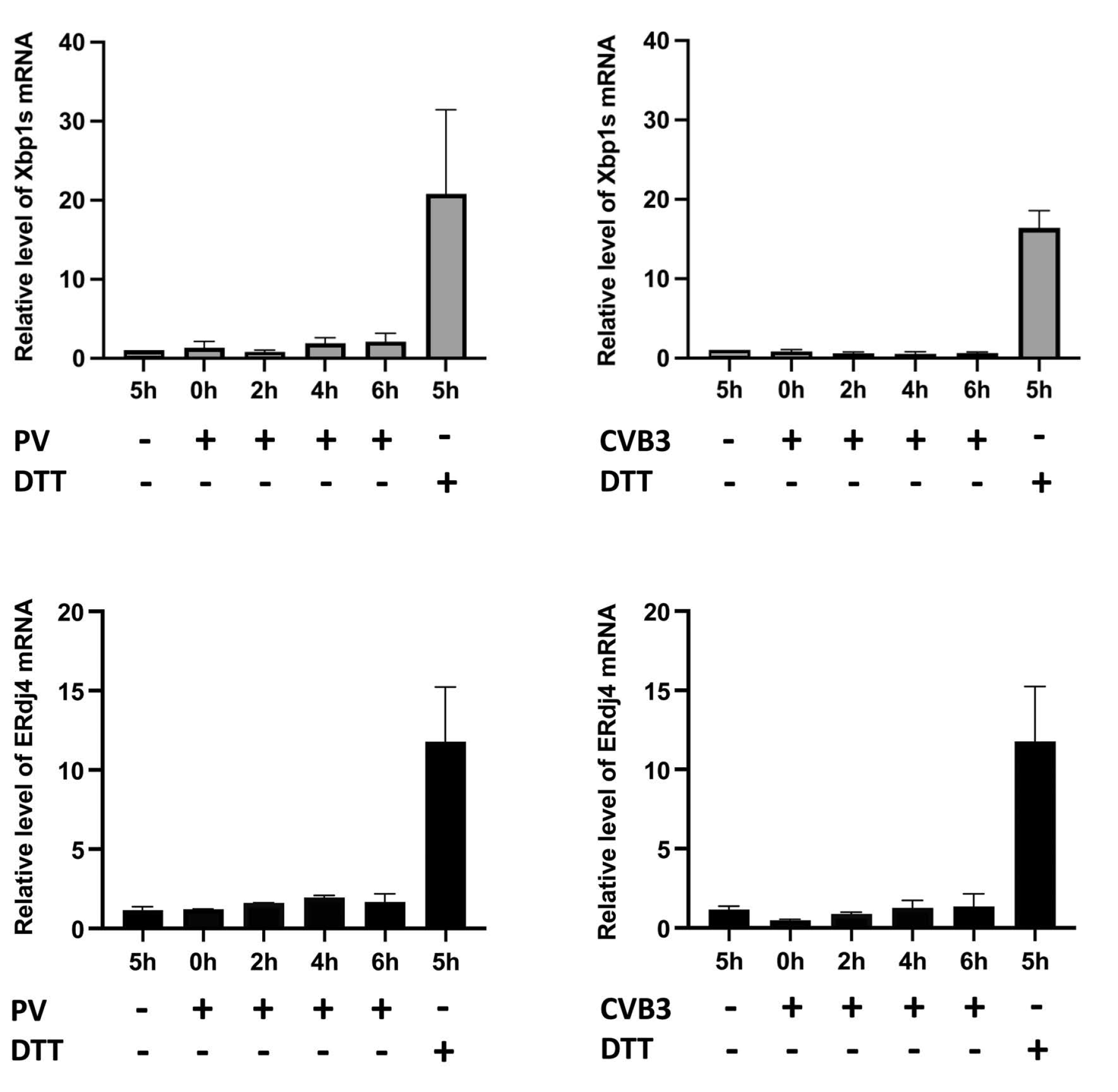 Viruses 14 02486 g004 Viruses 14 02486 g004