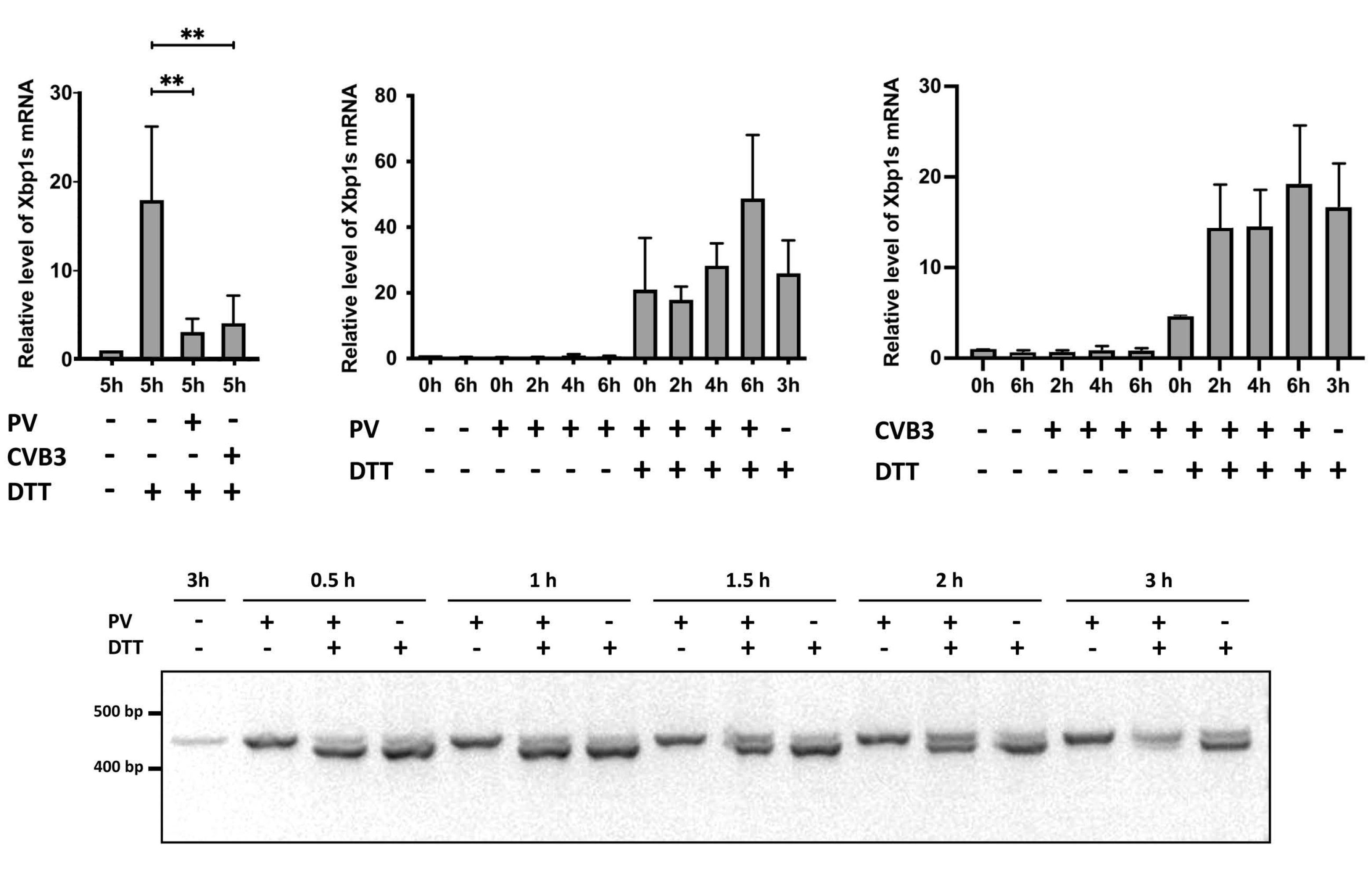 Viruses 14 02486 g005 Viruses 14 02486 g005
