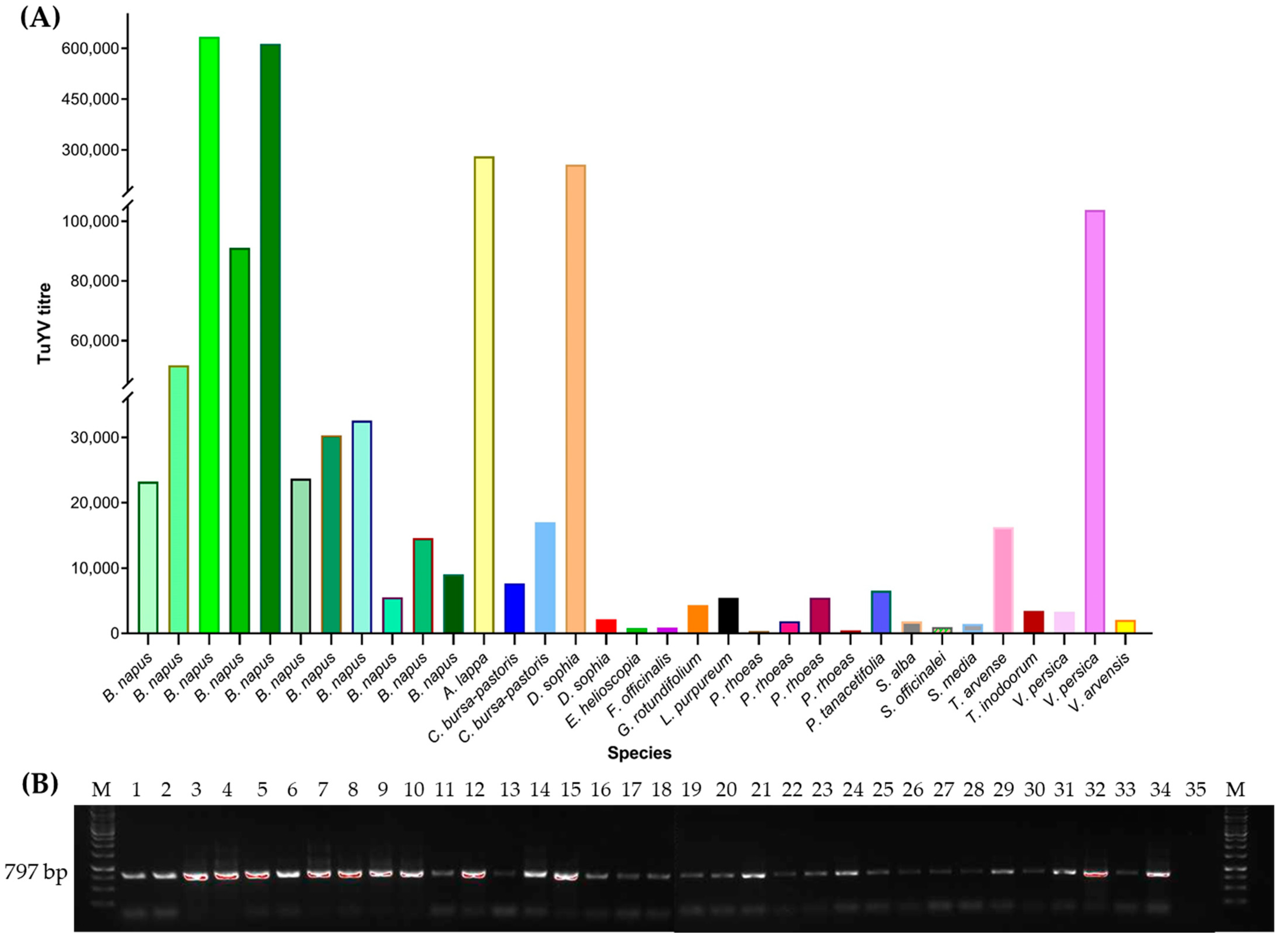 Viruses 14 02511 g004