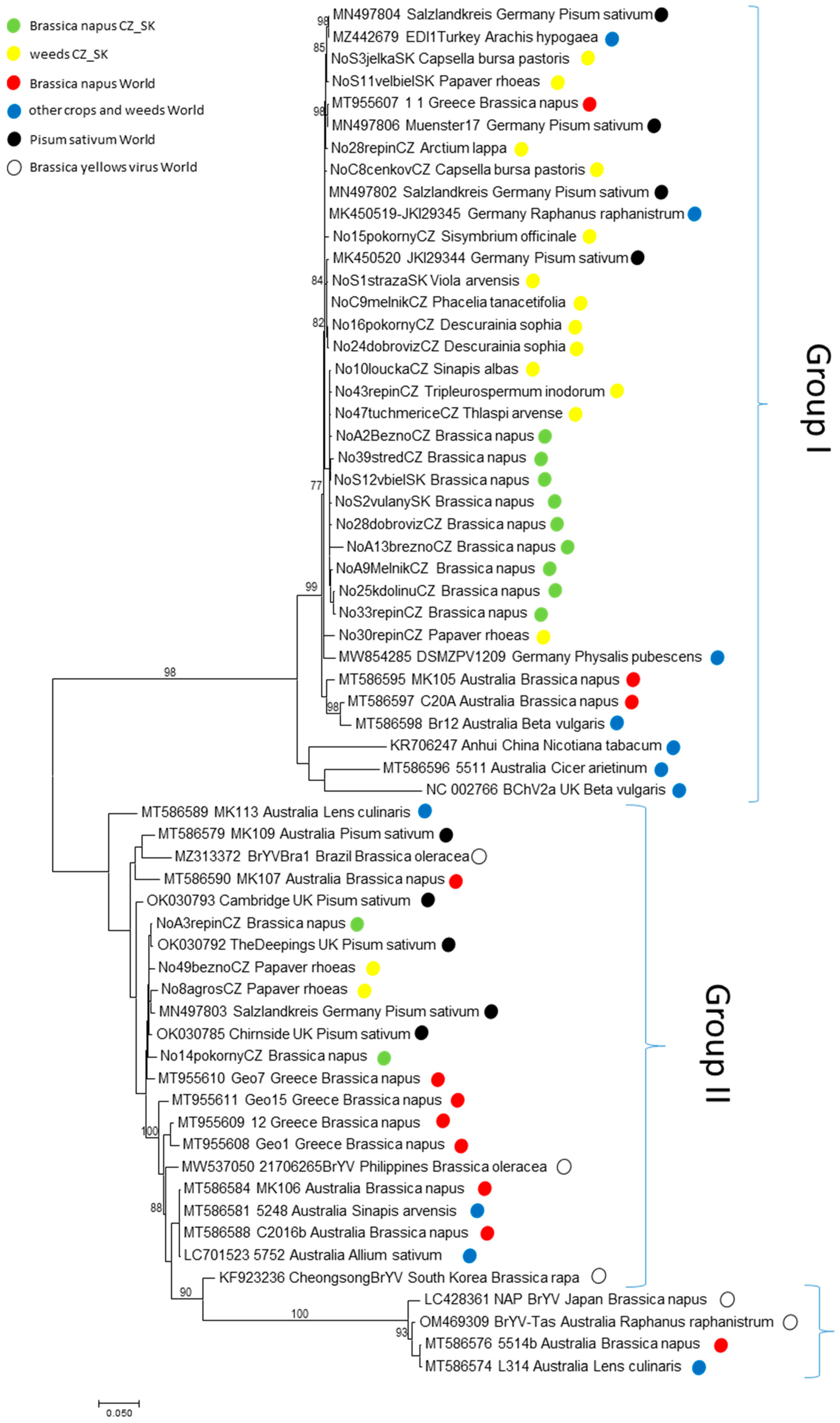 Viruses 14 02511 g005