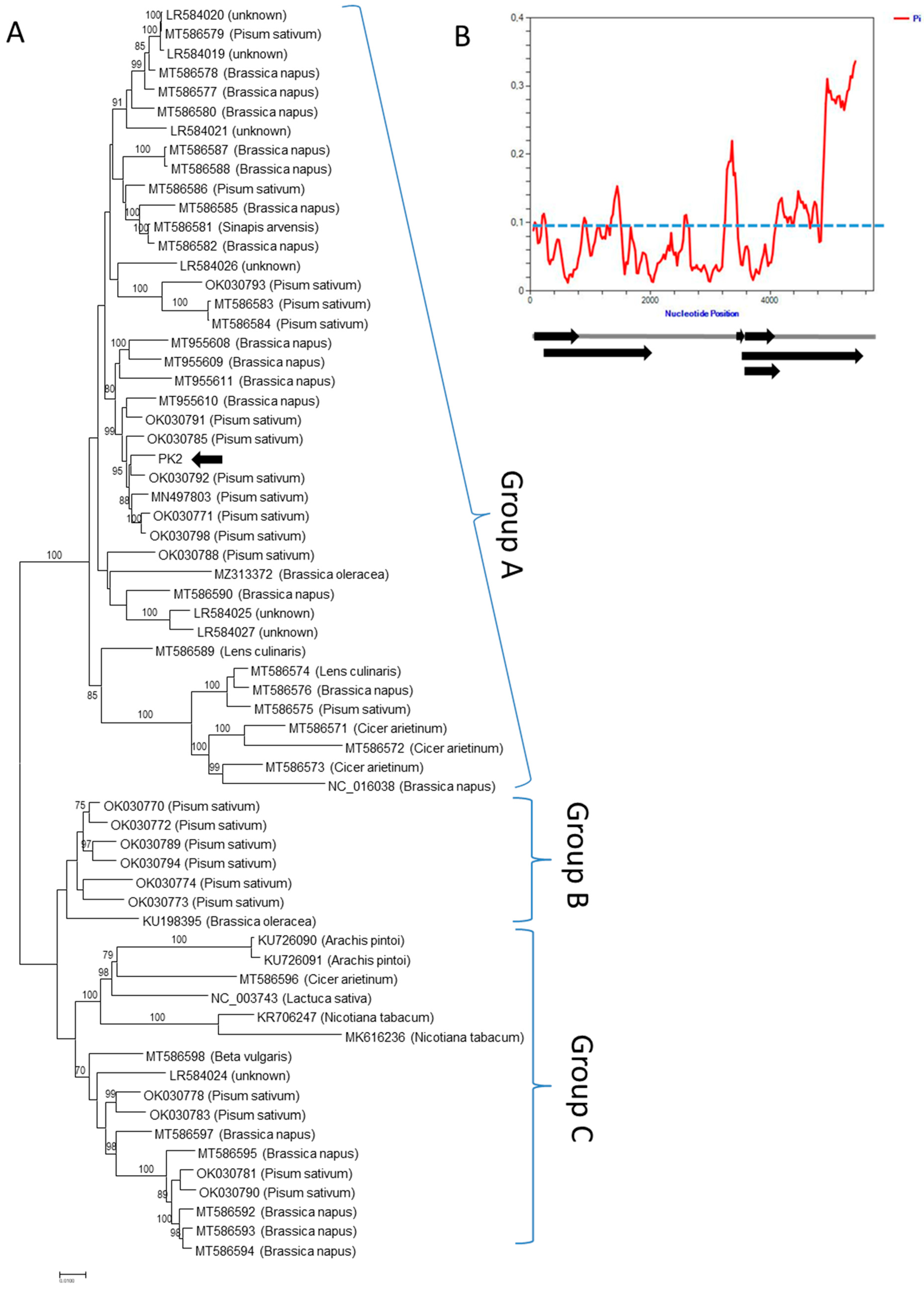 Viruses 14 02511 g006