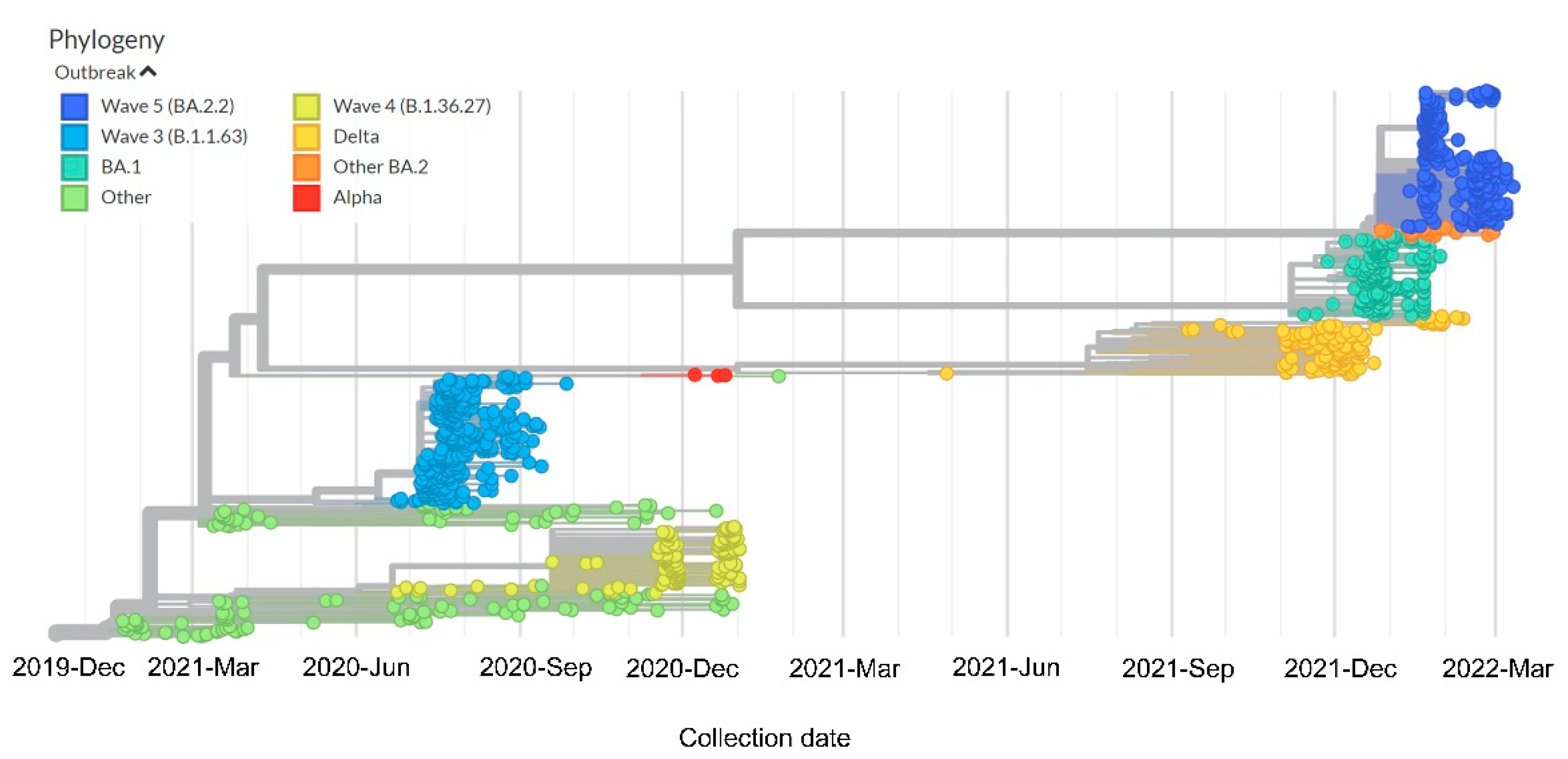 Viruses 14 02519 g004