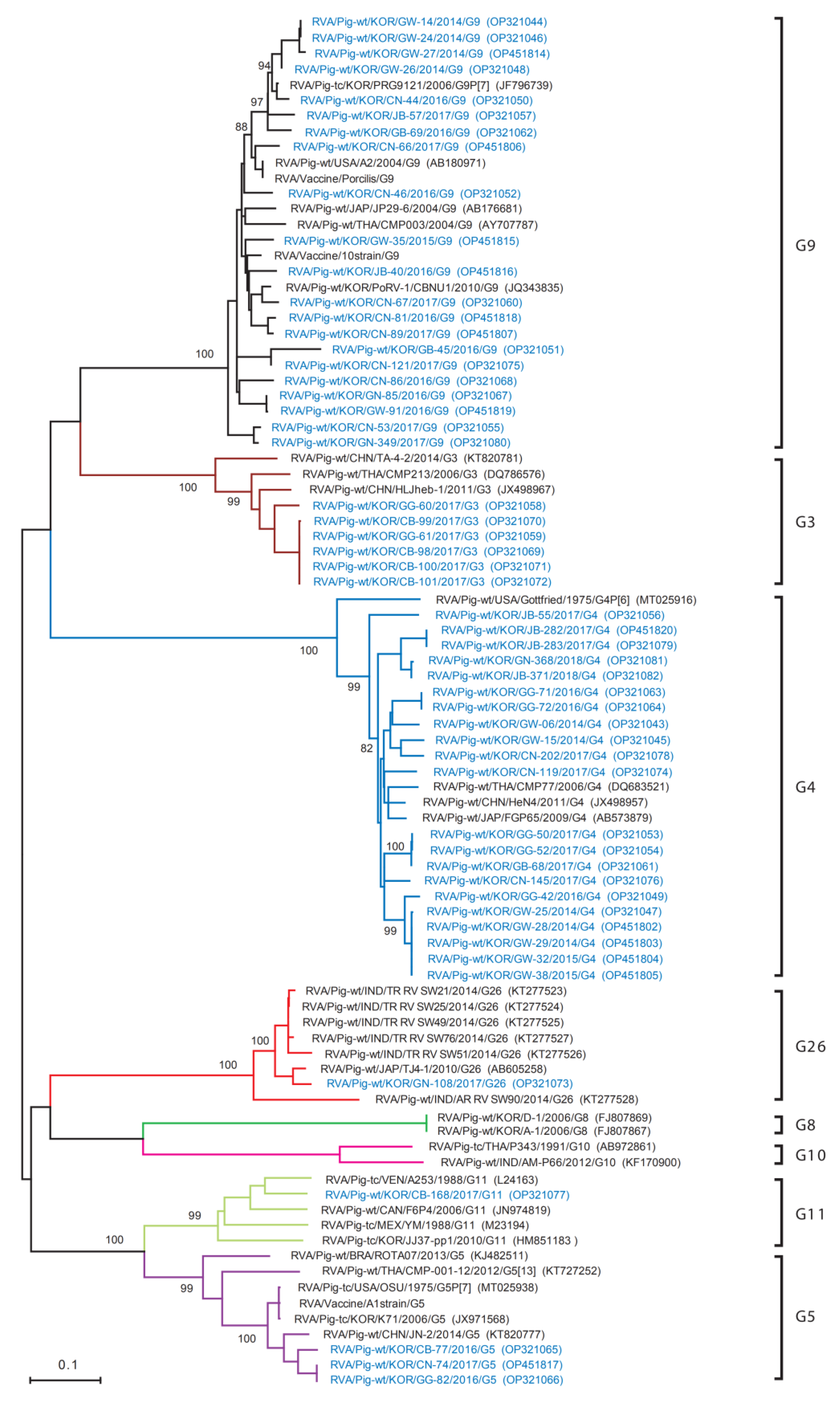 Viruses 14 02522 g003 Viruses 14 02522 g003