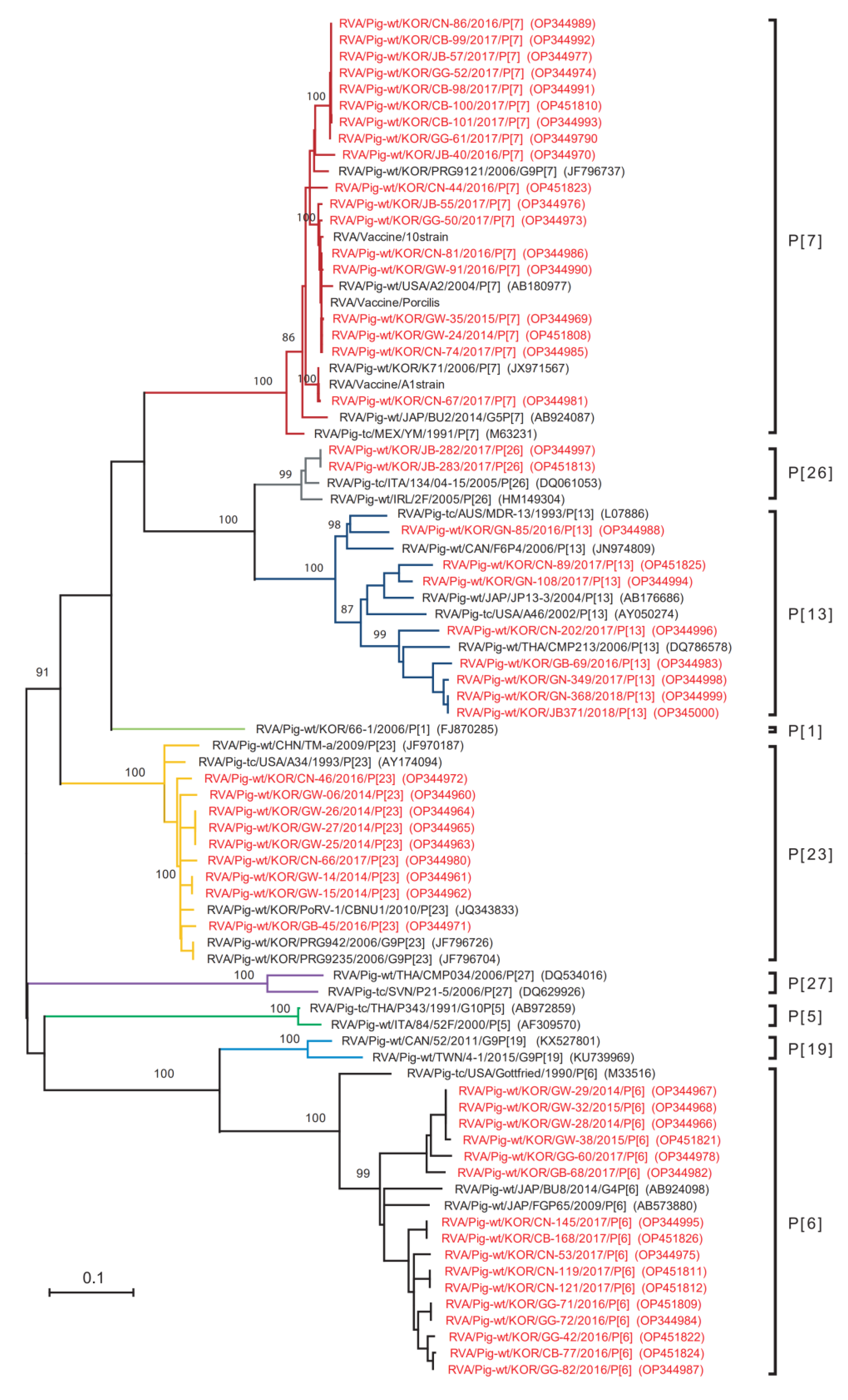 Viruses 14 02522 g004 Viruses 14 02522 g004