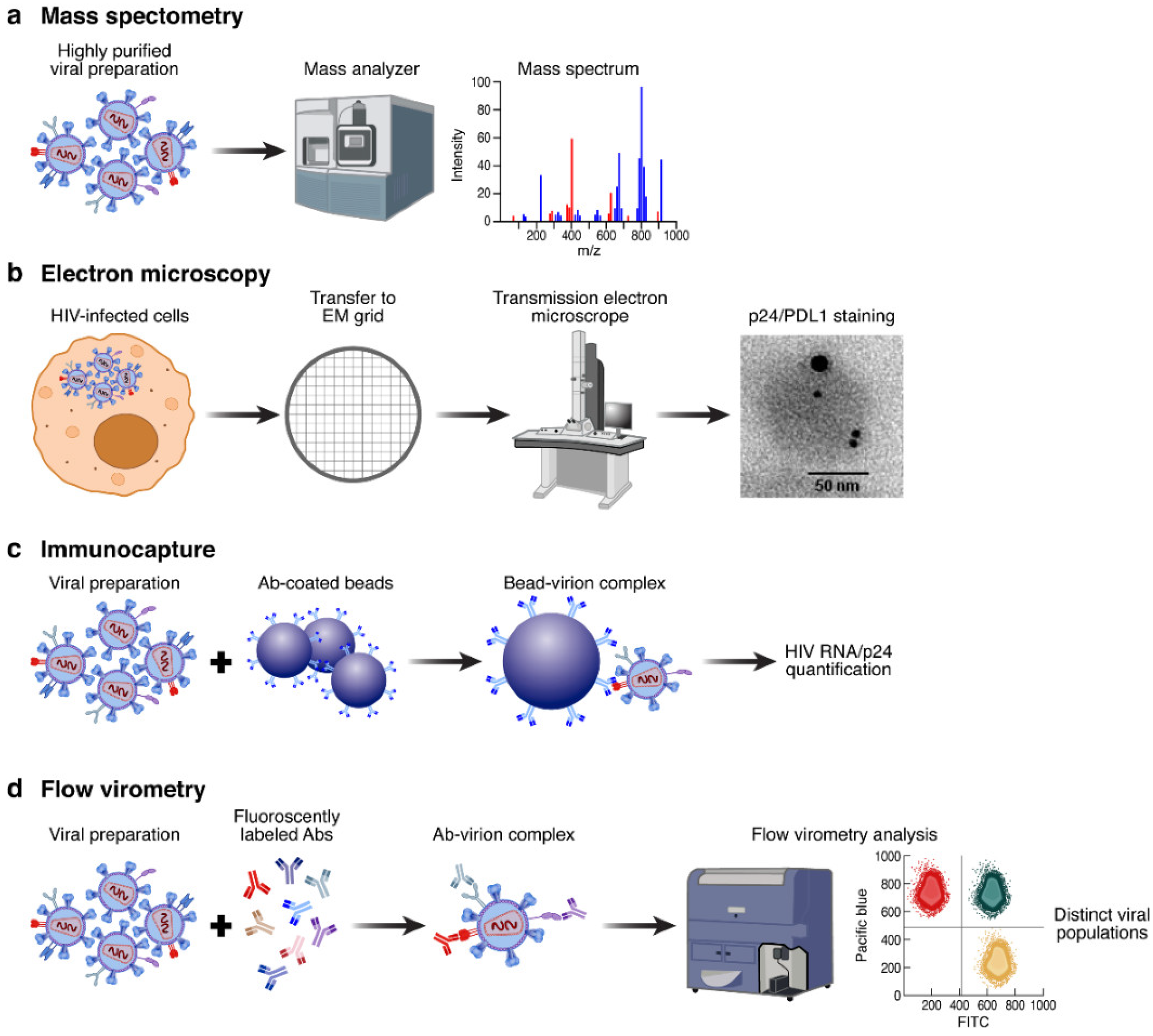 Viruses 14 02523 g001 Viruses 14 02523 g001