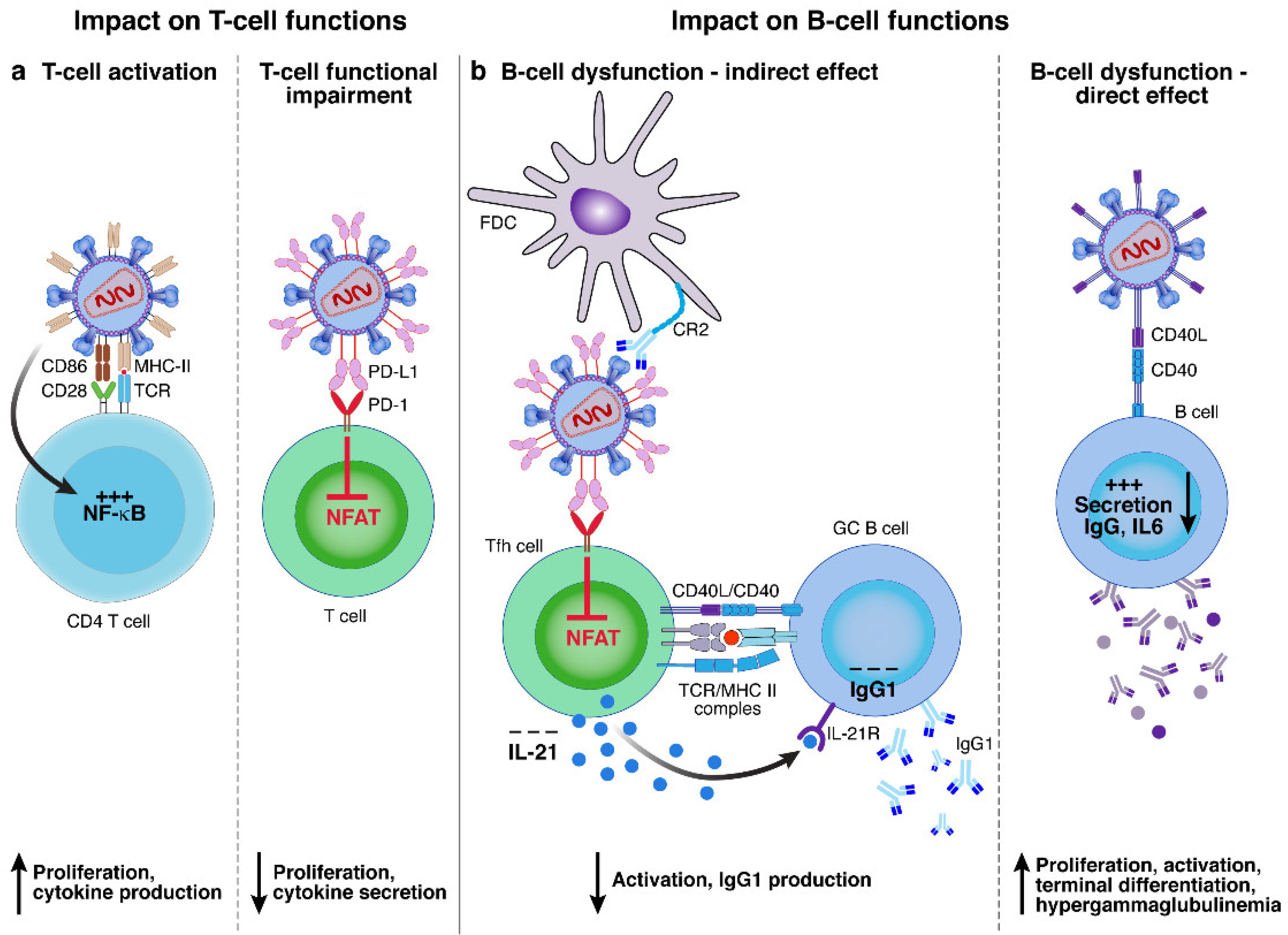 Viruses 14 02523 g005 Viruses 14 02523 g005