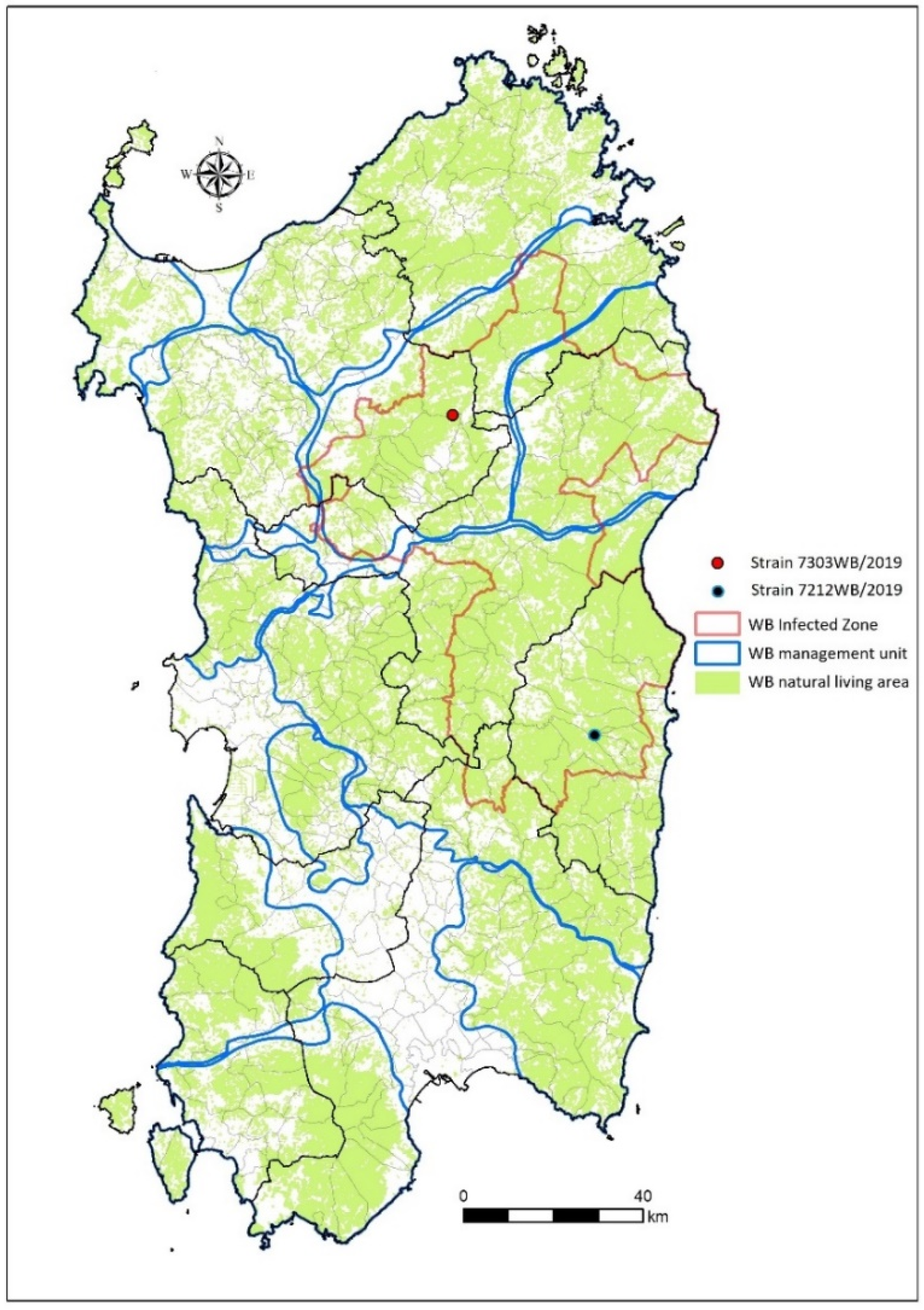 Viruses 14 02524 g001