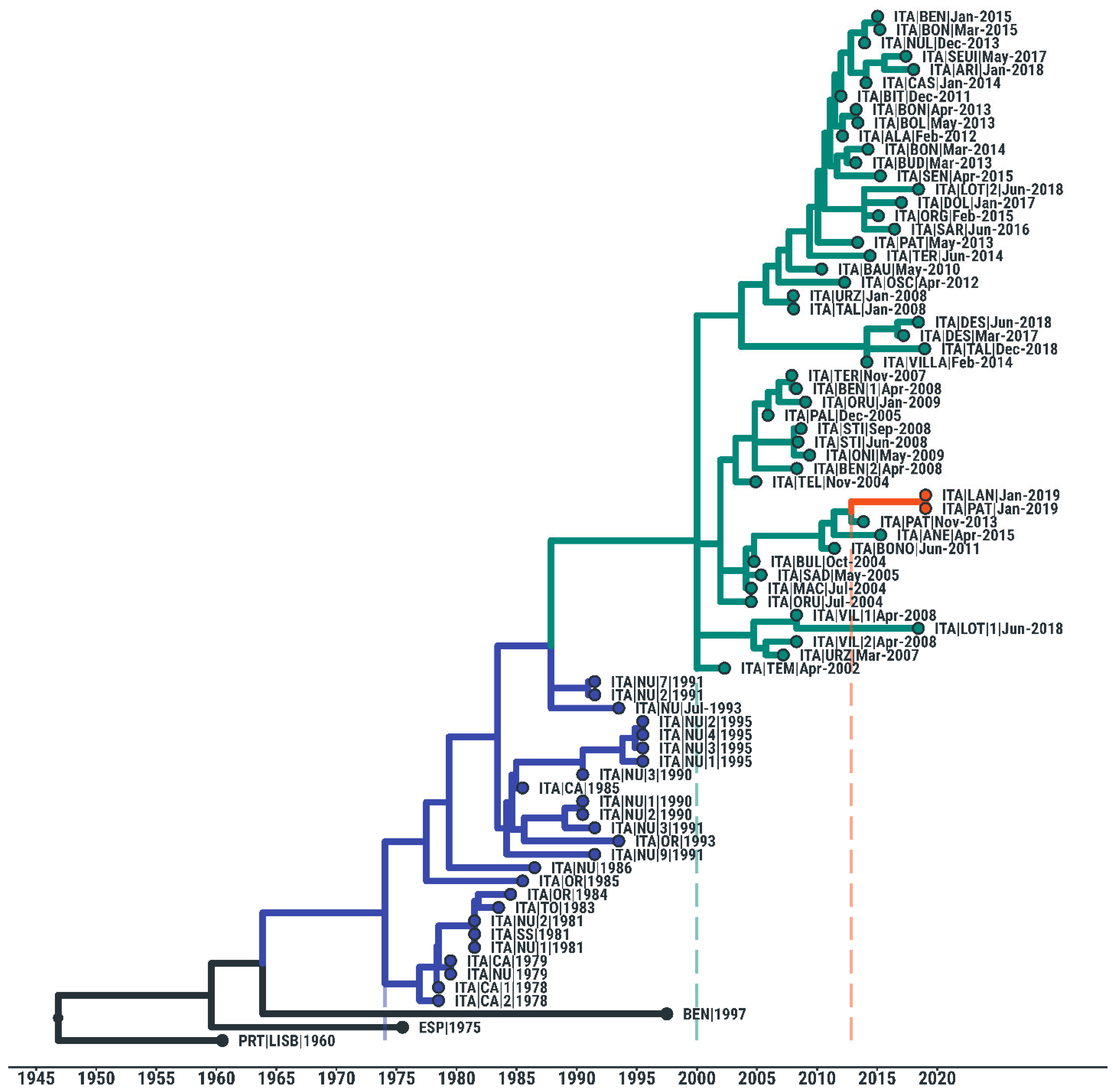 Viruses 14 02524 g005