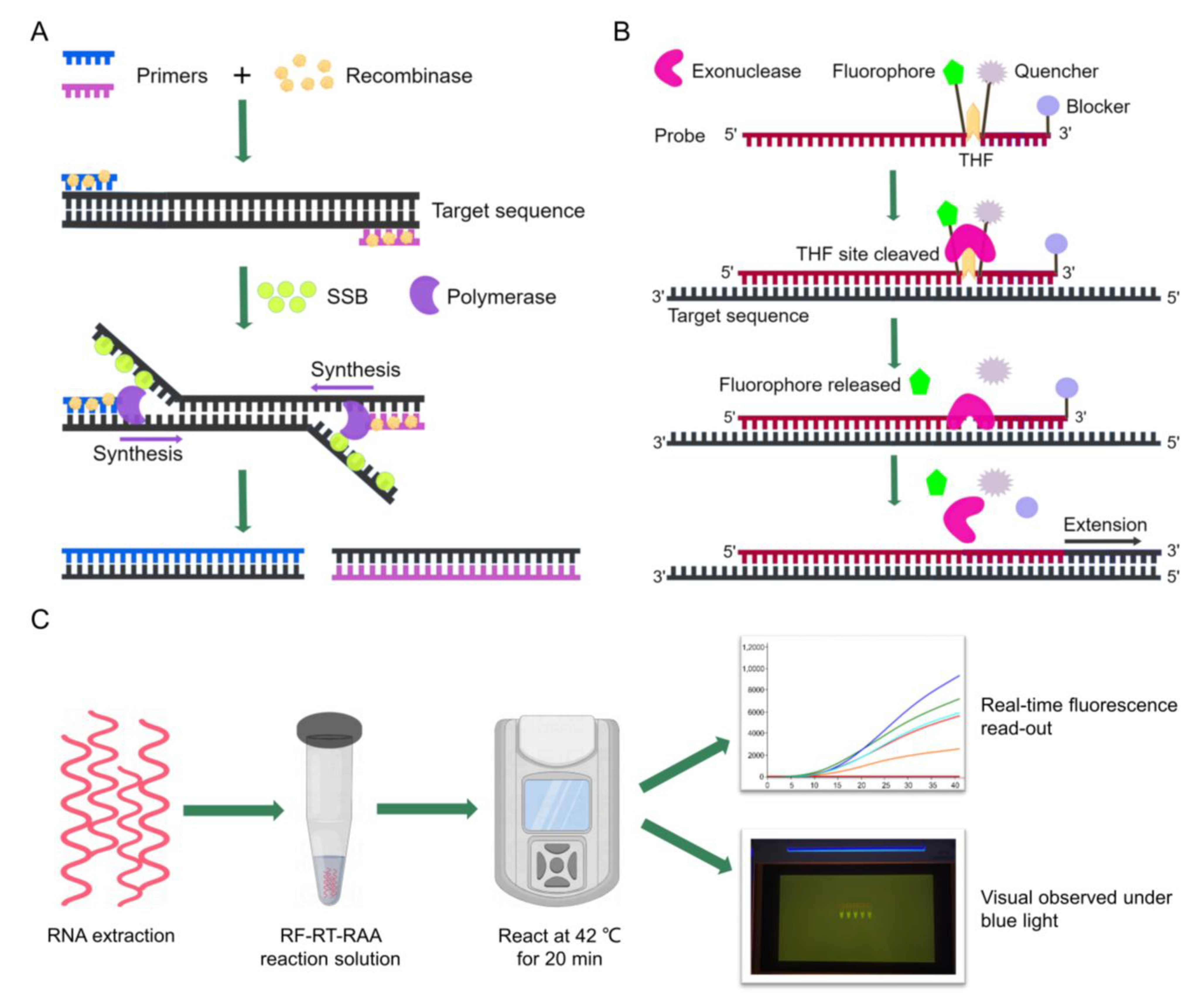 Viruses 14 02526 g001 Viruses 14 02526 g001