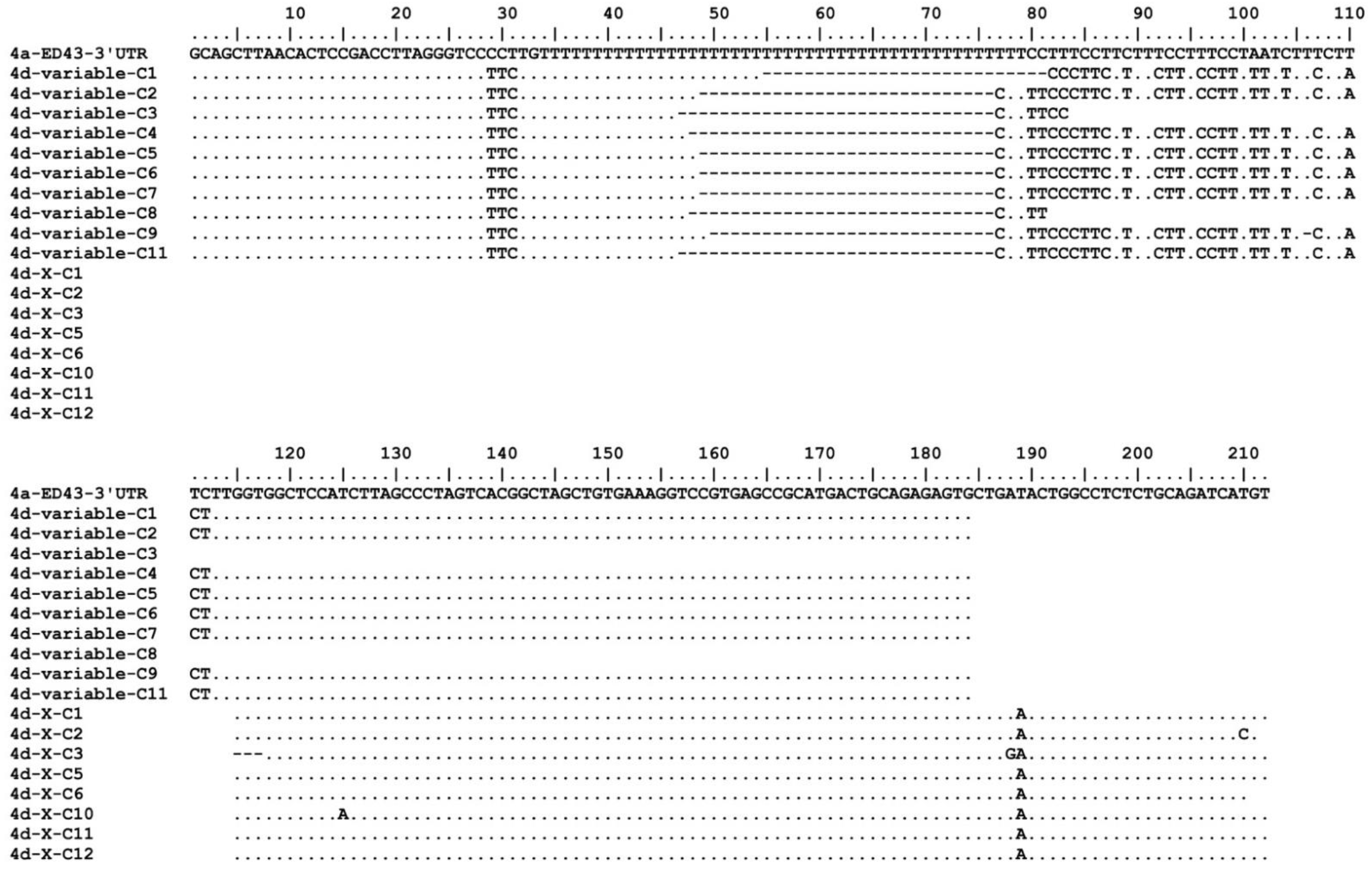 Viruses 14 02527 g001