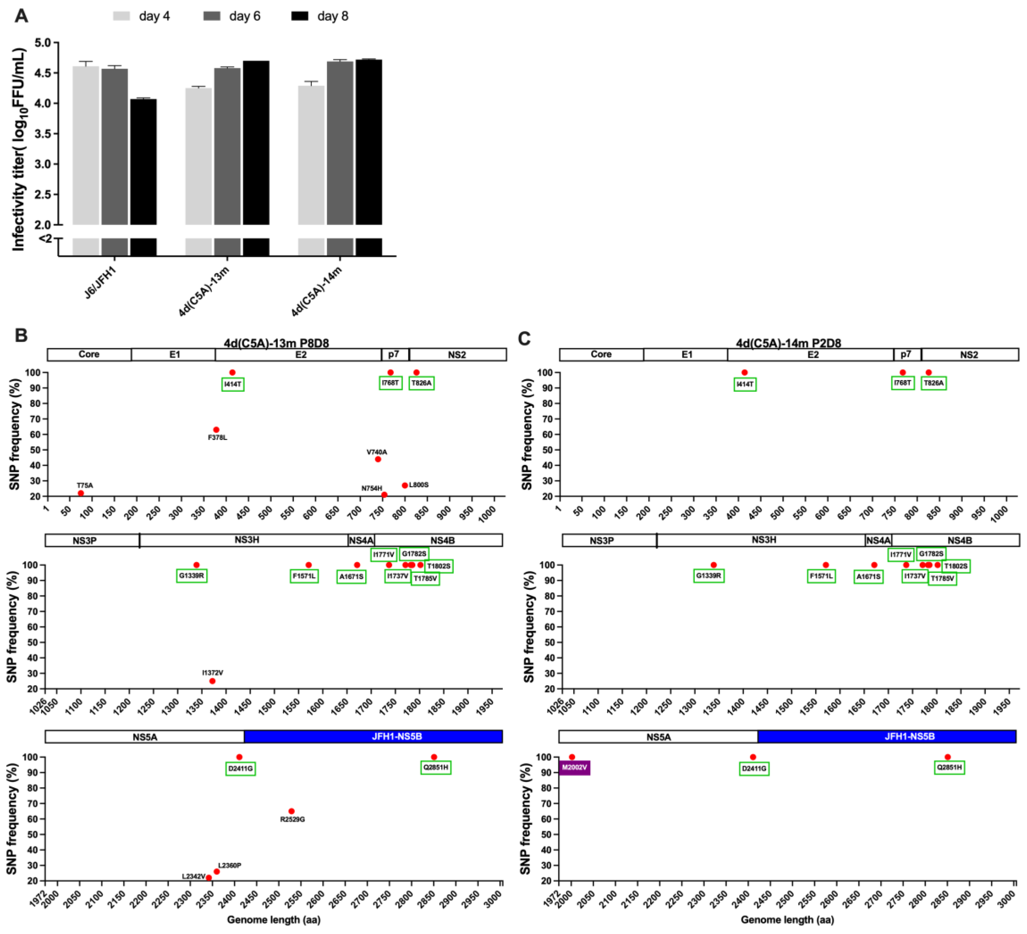 Viruses 14 02527 g003