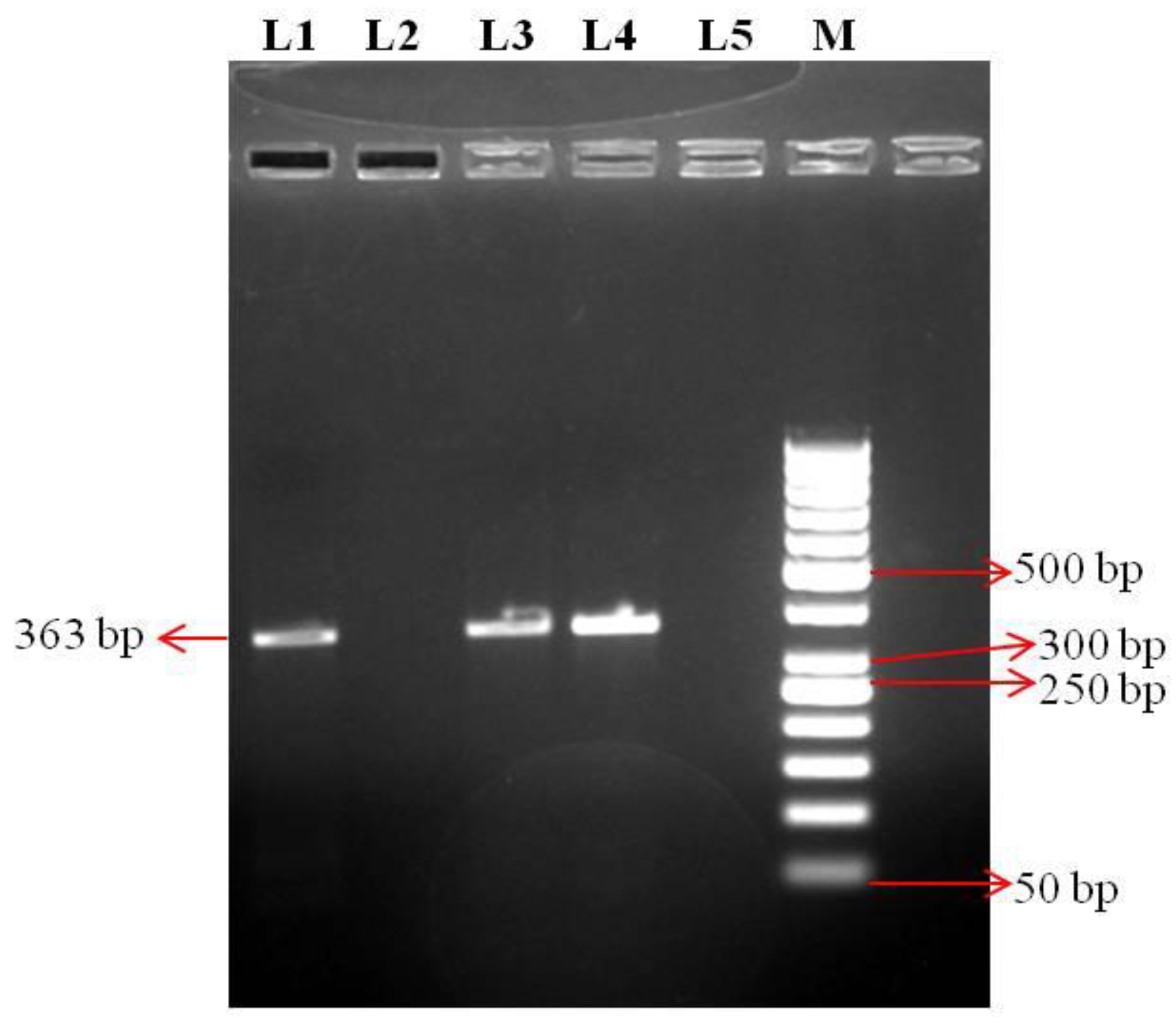 Viruses 14 02528 g001
