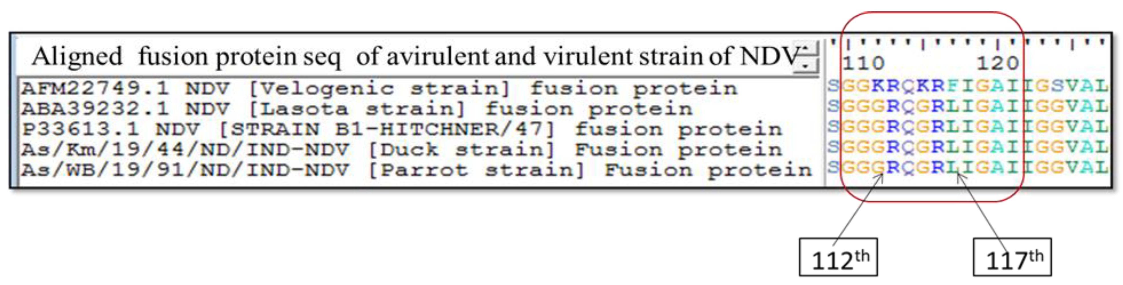 Viruses 14 02528 g003