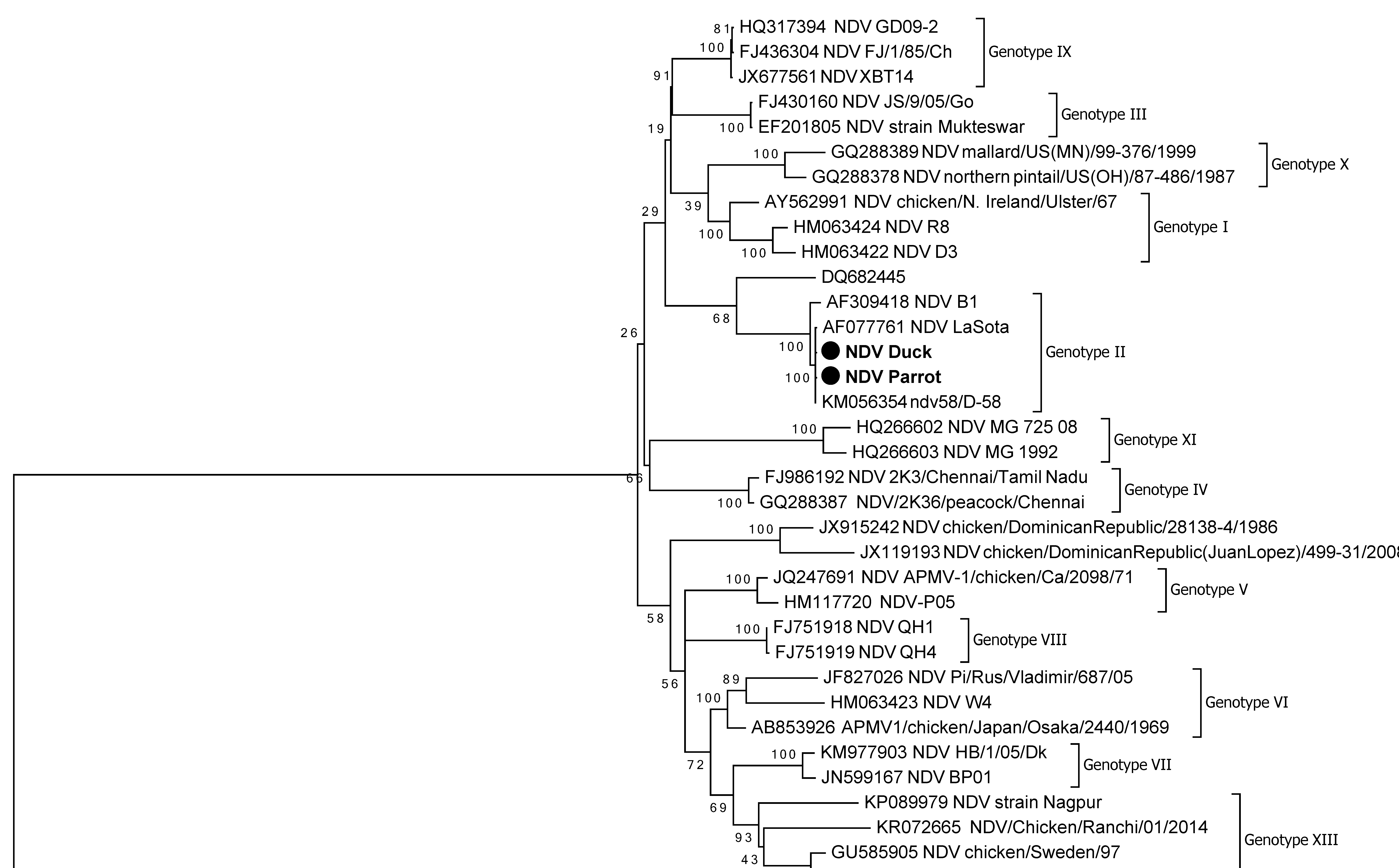 Viruses 14 02528 g004