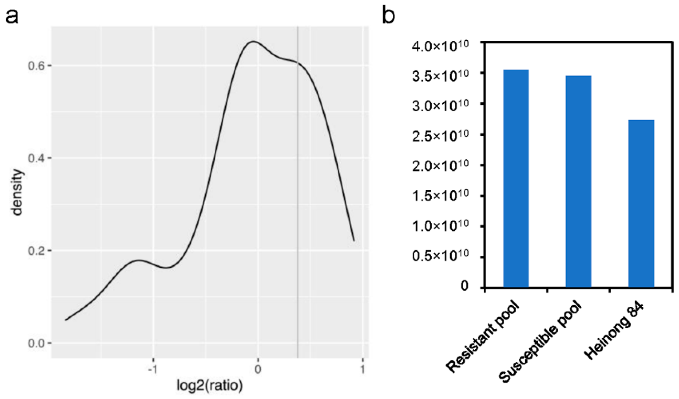 Viruses 14 02533 g002