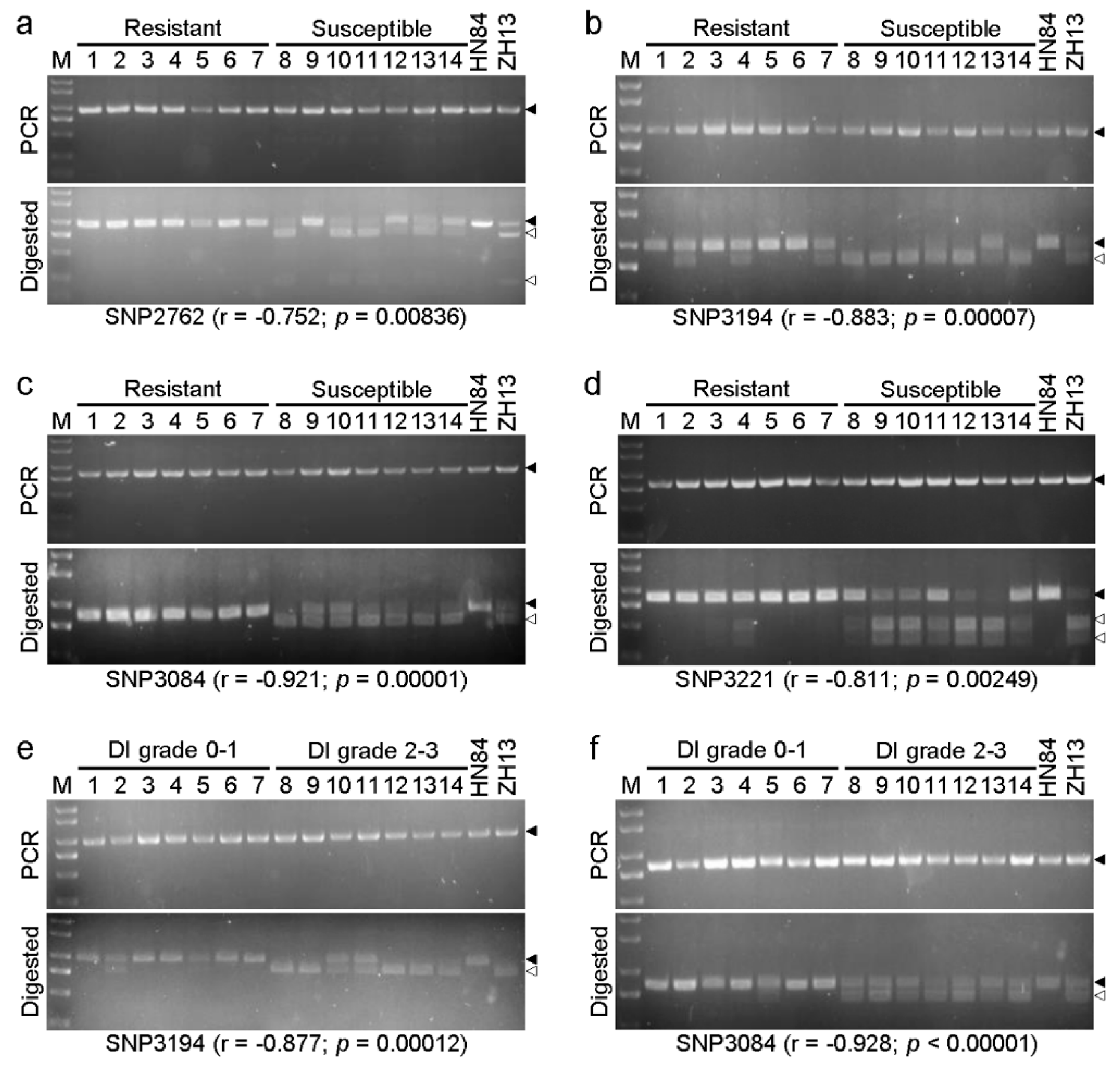 Viruses 14 02533 g005