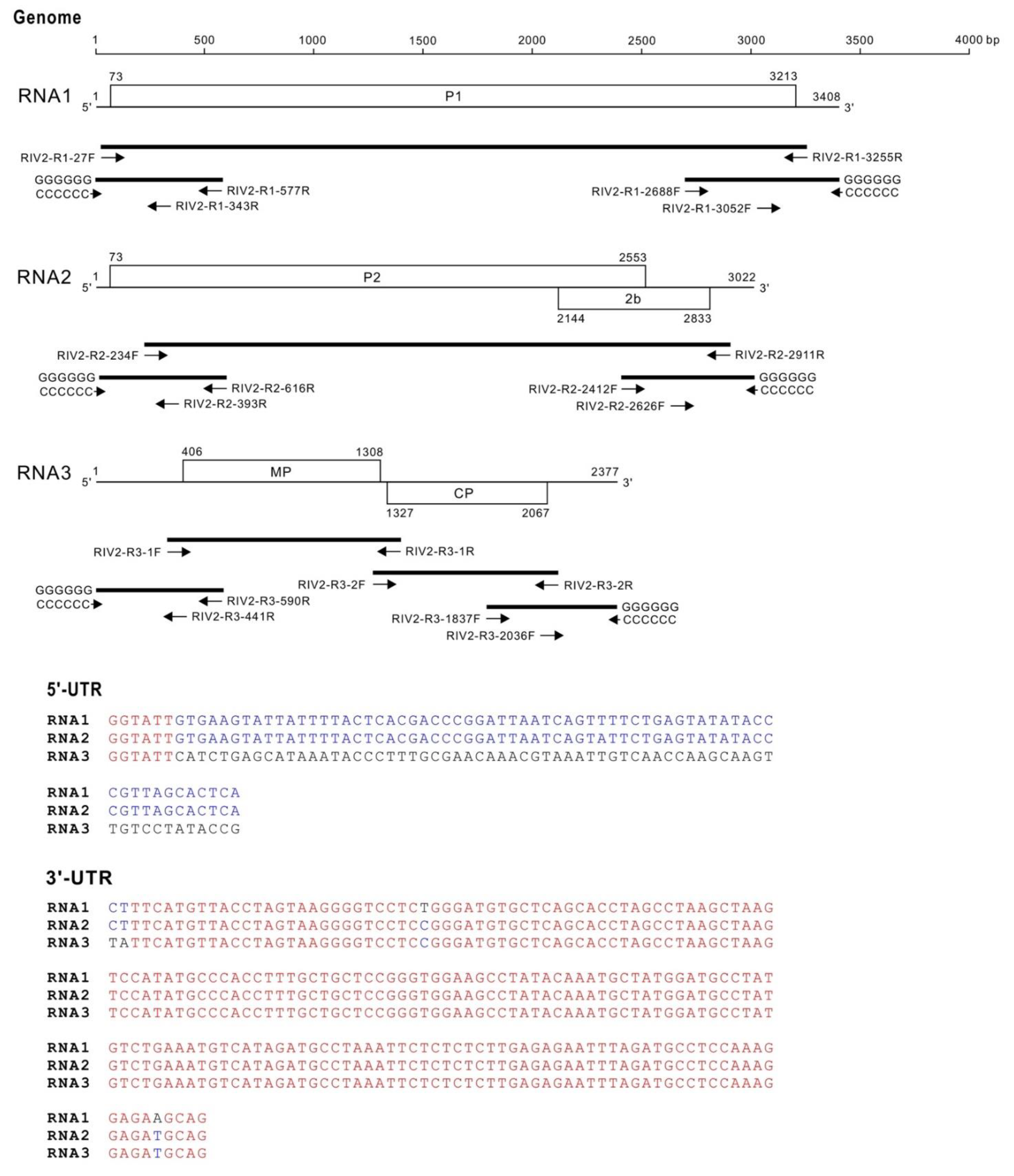 Viruses 14 02537 g003 Viruses 14 02537 g003