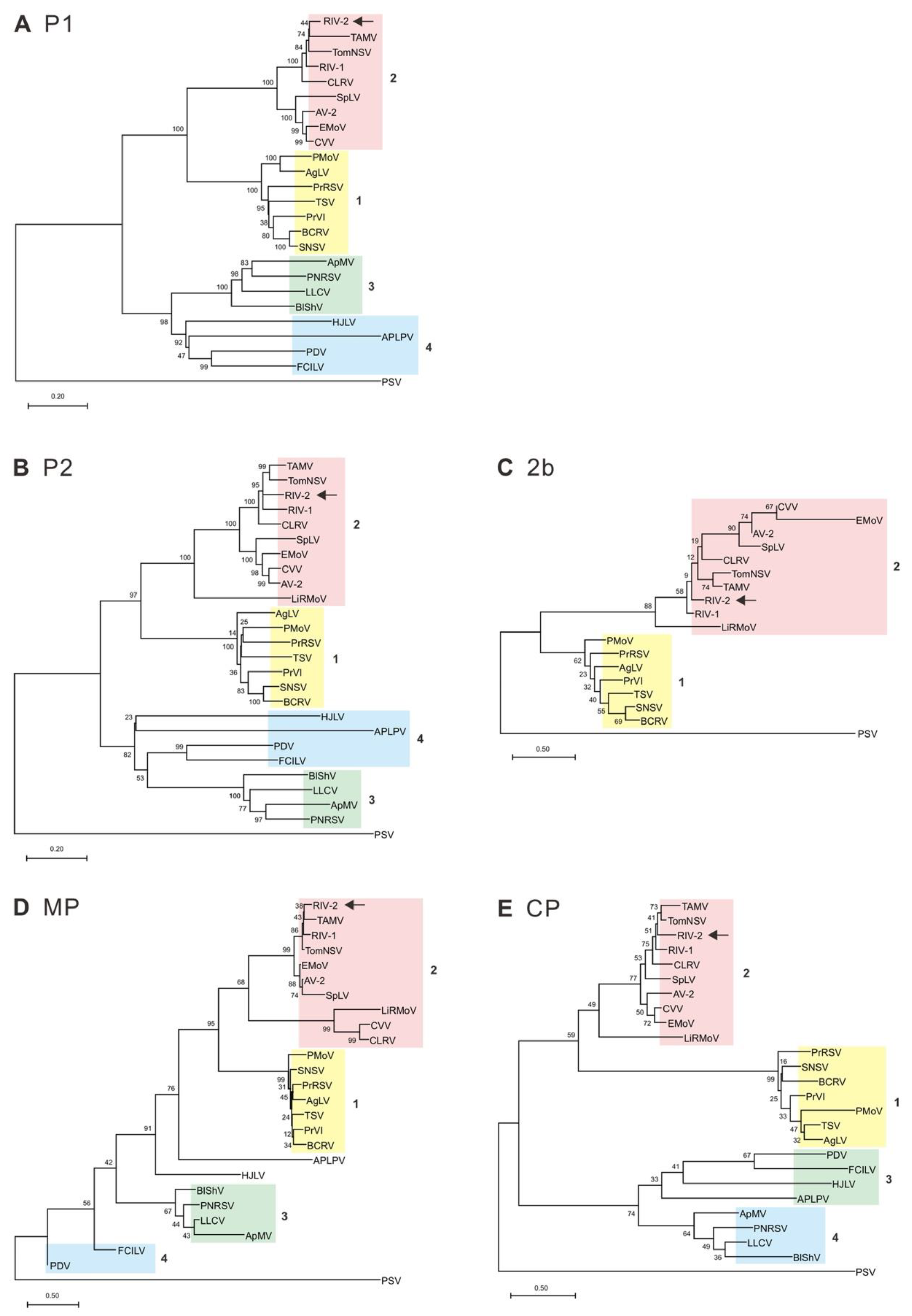 Viruses 14 02537 g004 Viruses 14 02537 g004