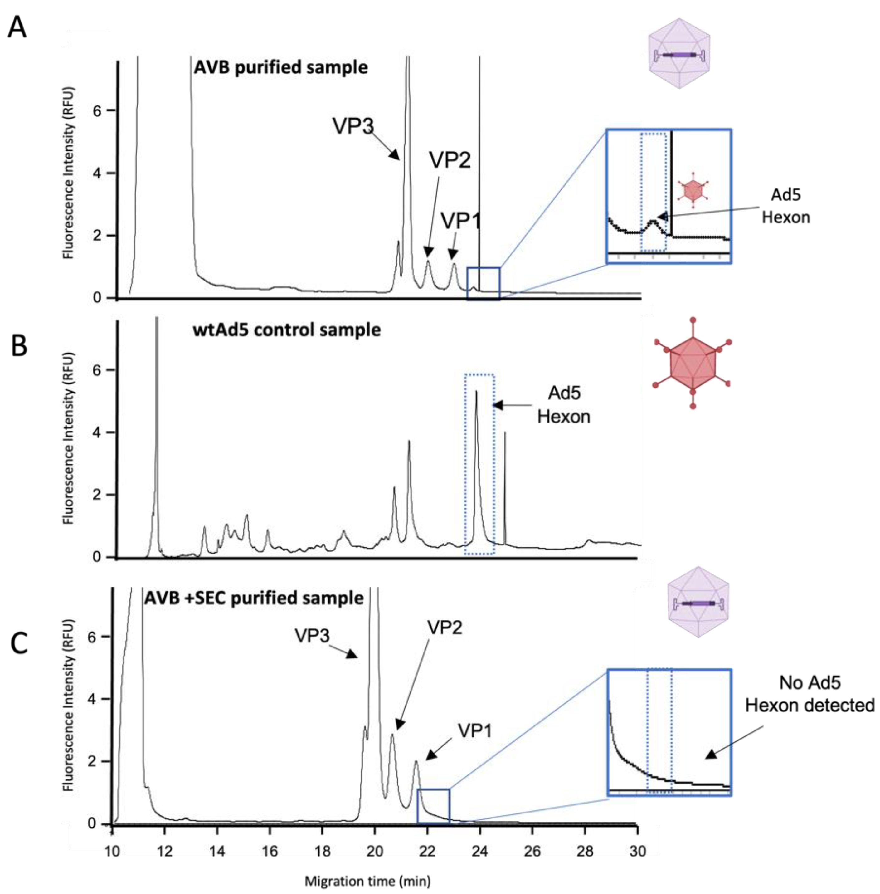 Viruses 14 02539 g004