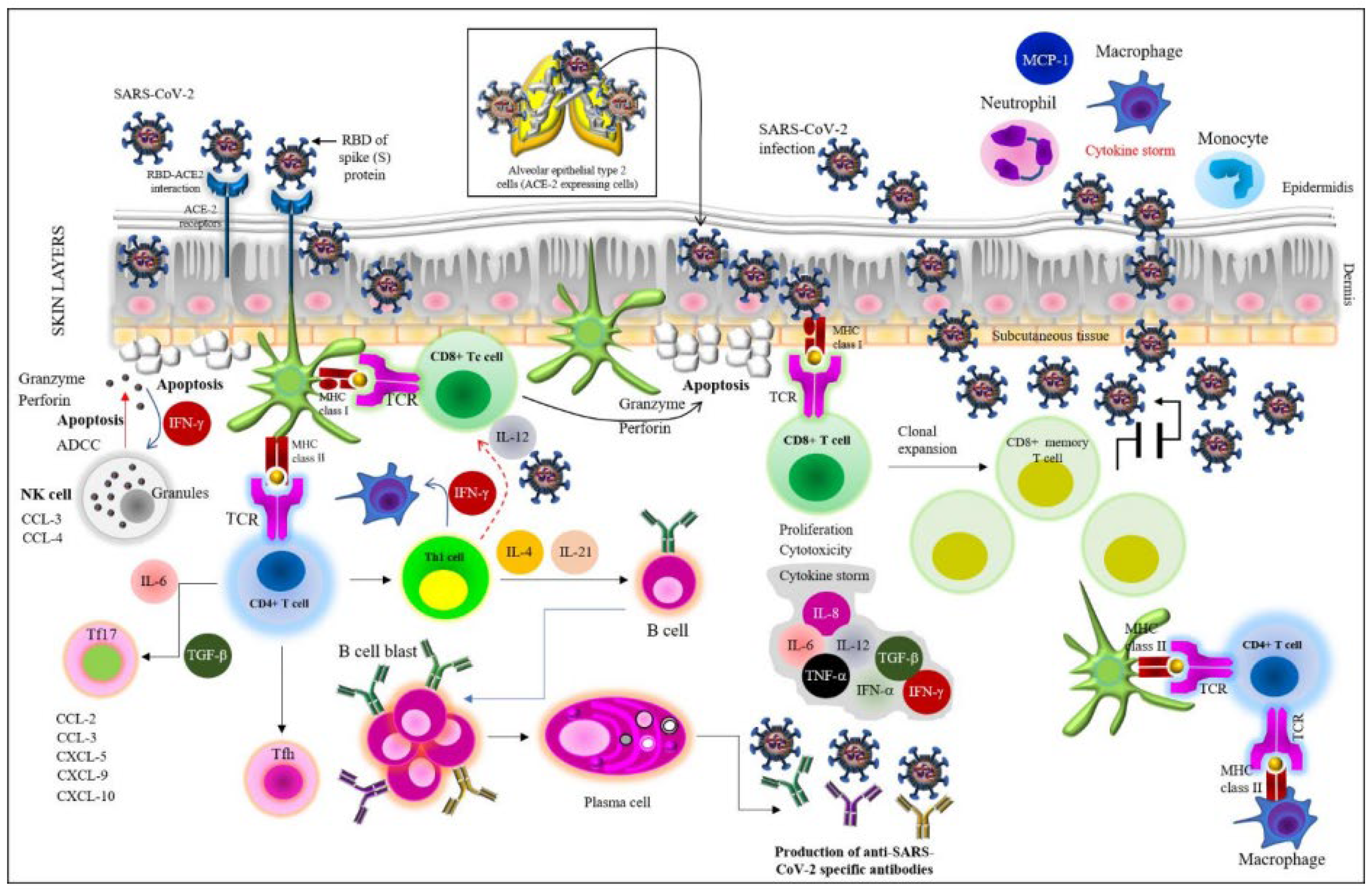 Viruses 14 02541 g001