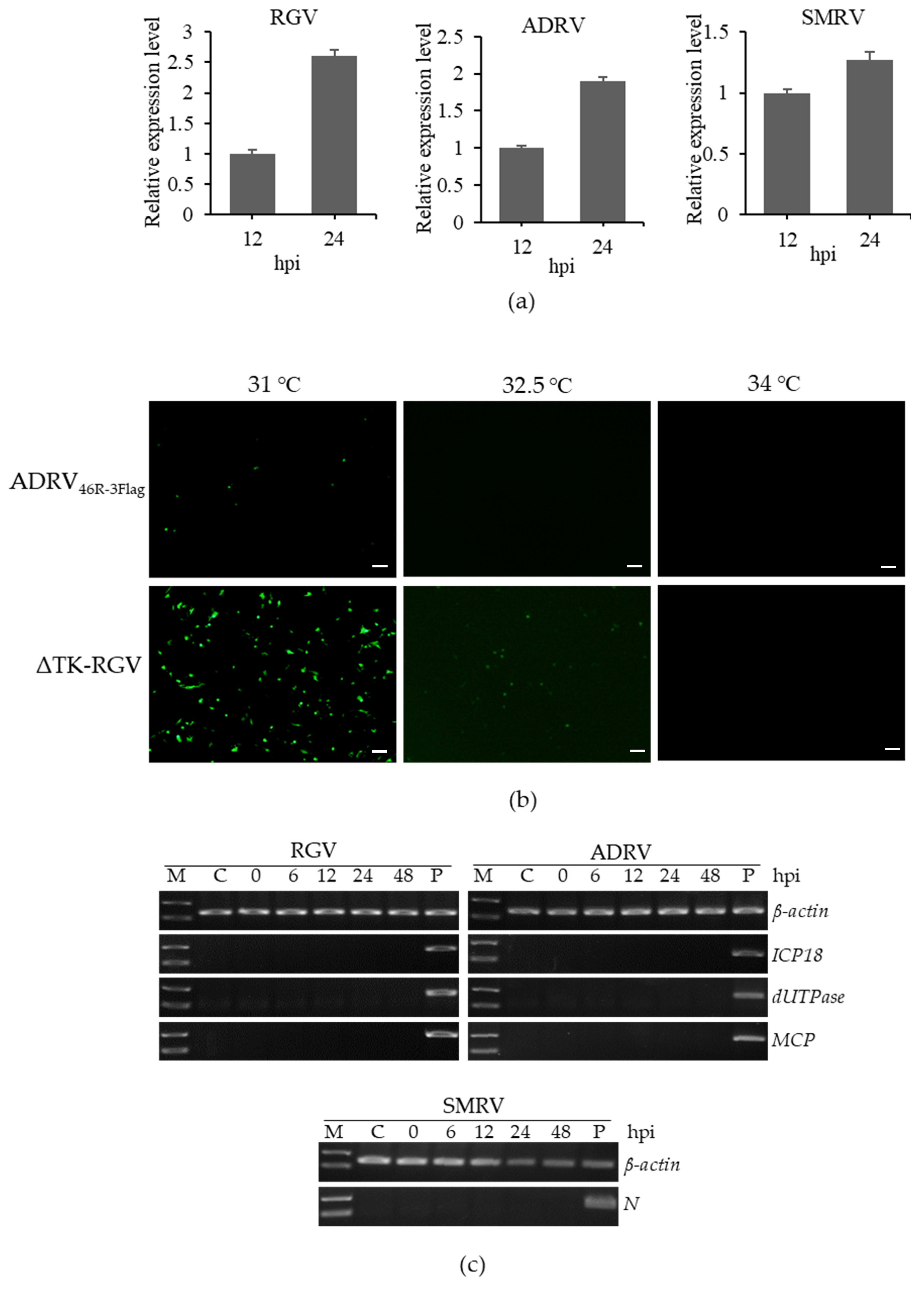 Viruses 14 02546 g005