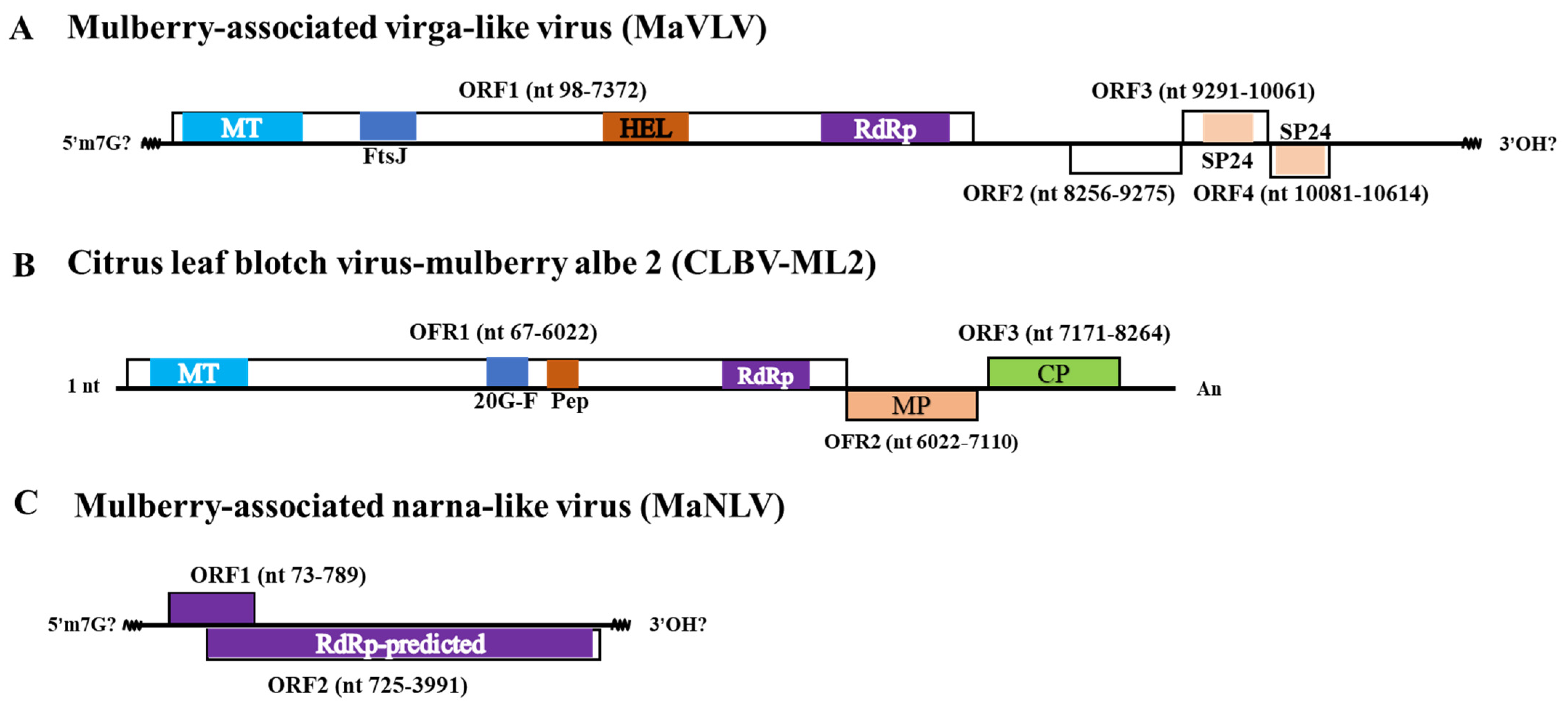 Viruses 14 02564 g002 Viruses 14 02564 g002
