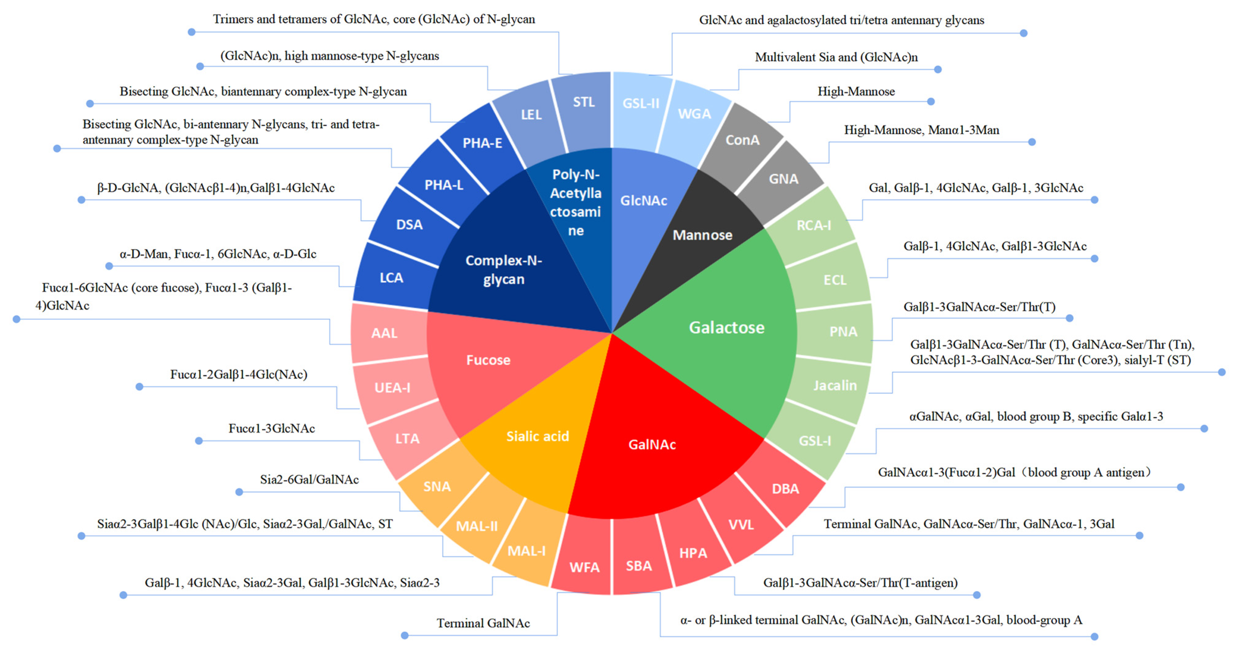 Viruses 14 02569 g003