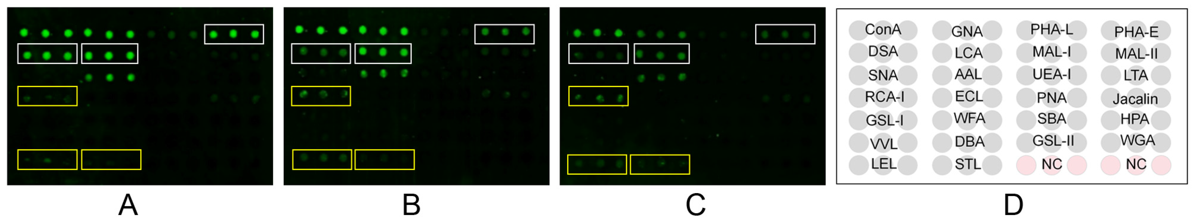 Viruses 14 02569 g004