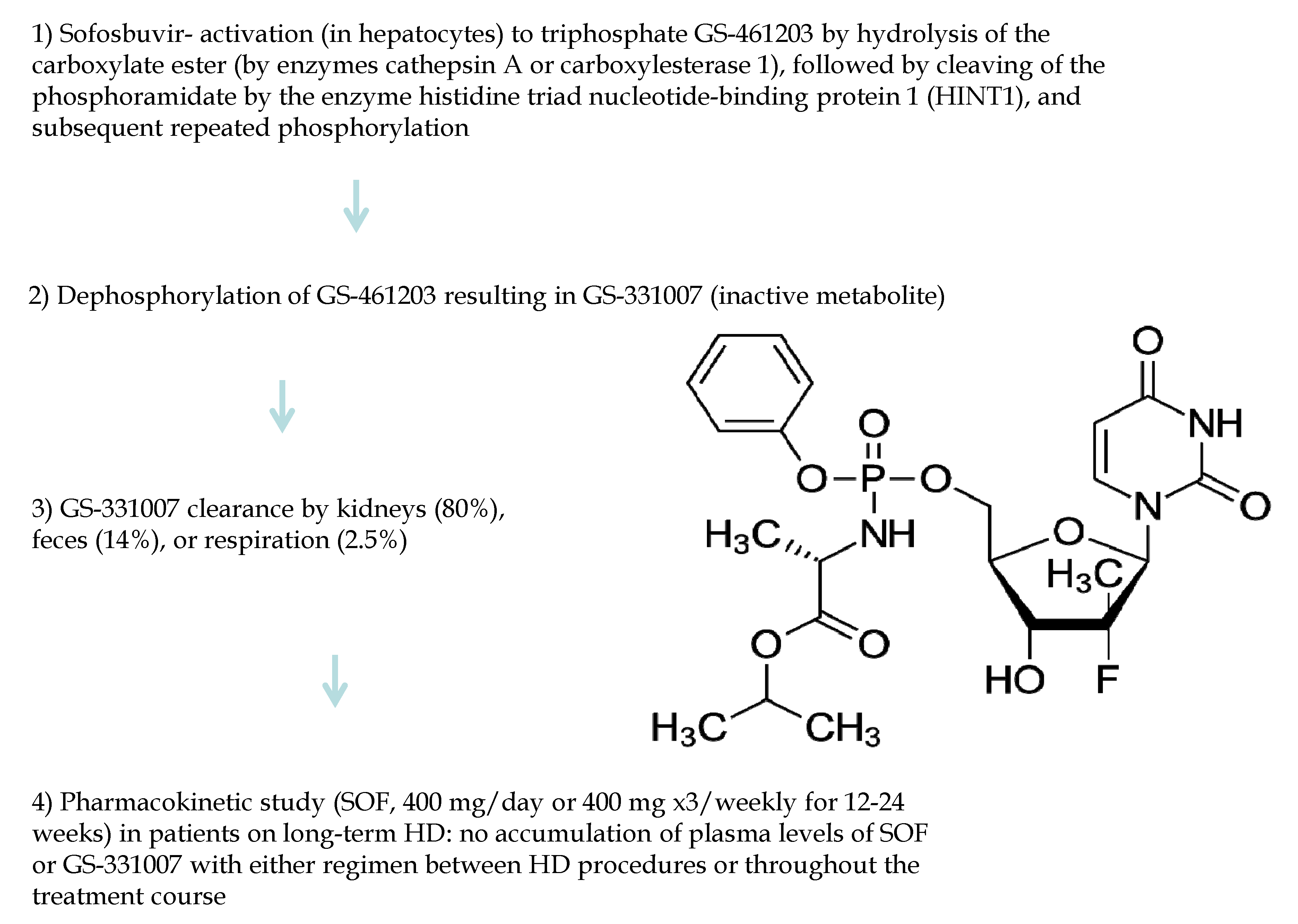 Viruses 14 02570 g002