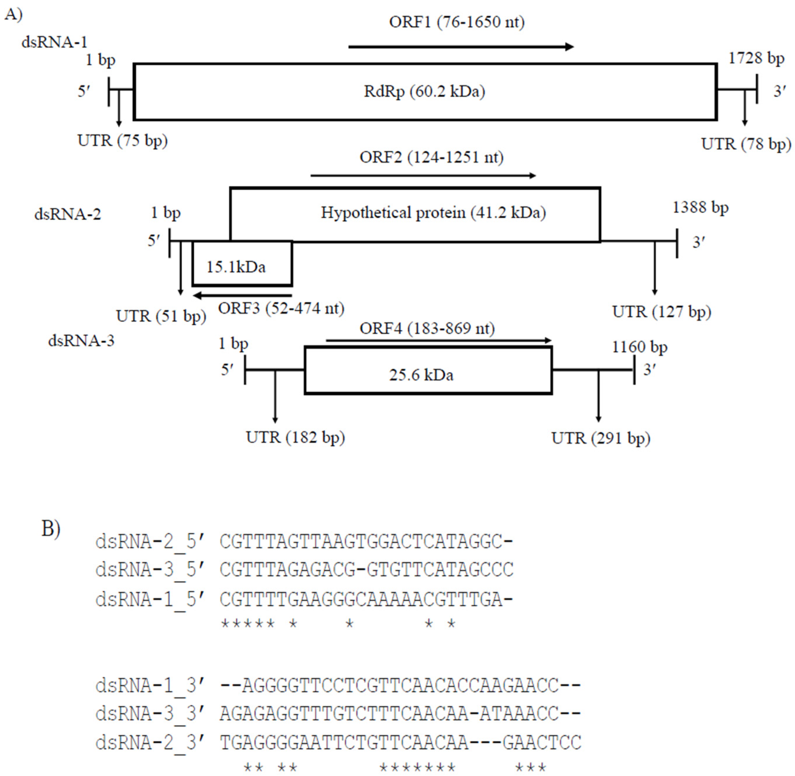 Viruses 14 02572 g002a