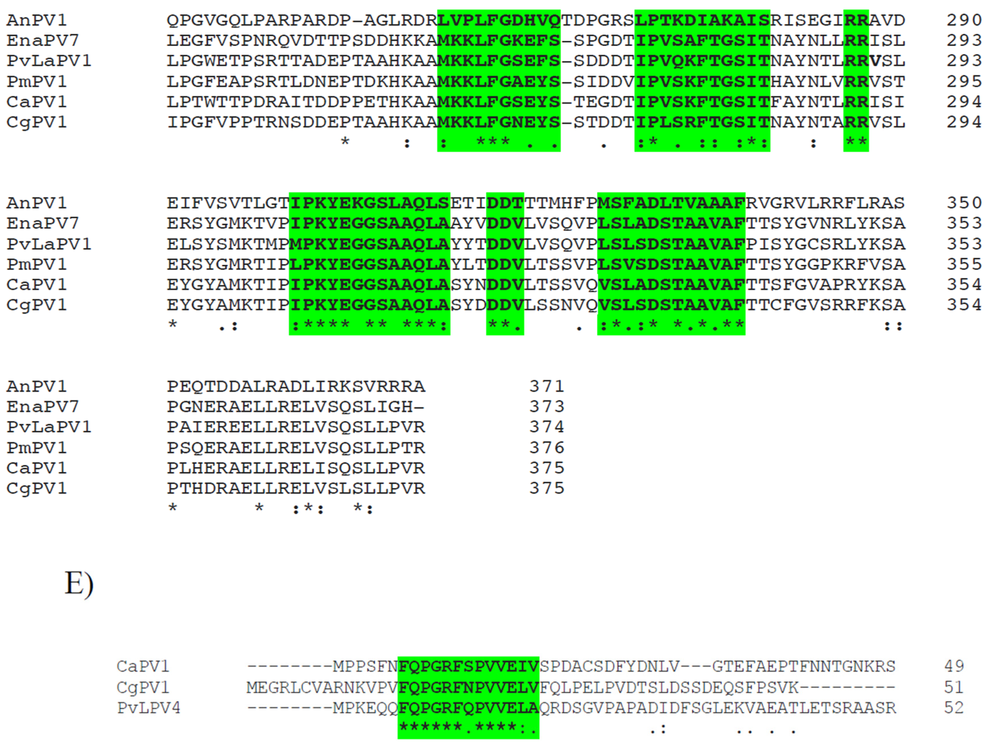 Viruses 14 02572 g002c