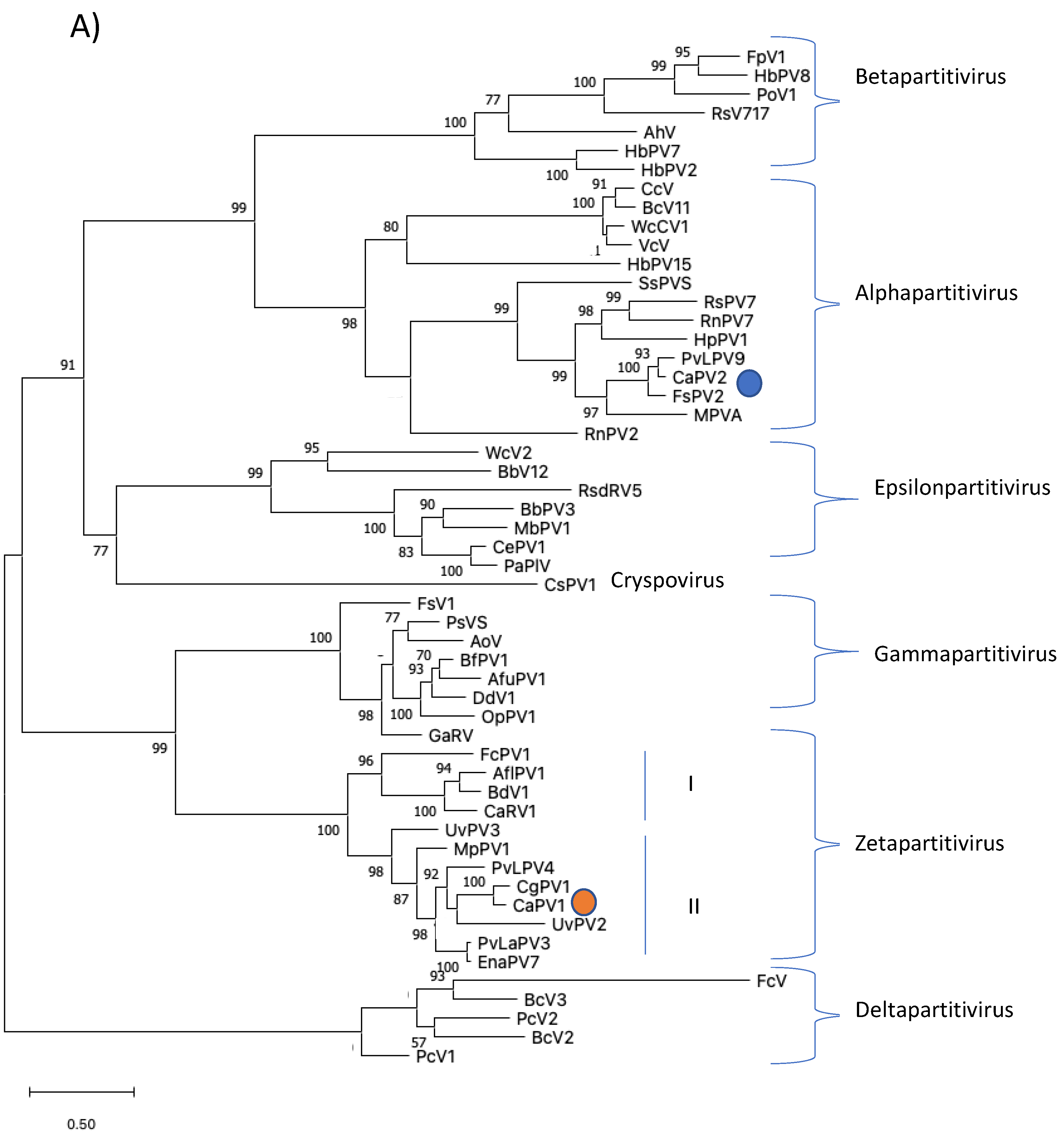 Viruses 14 02572 g003a