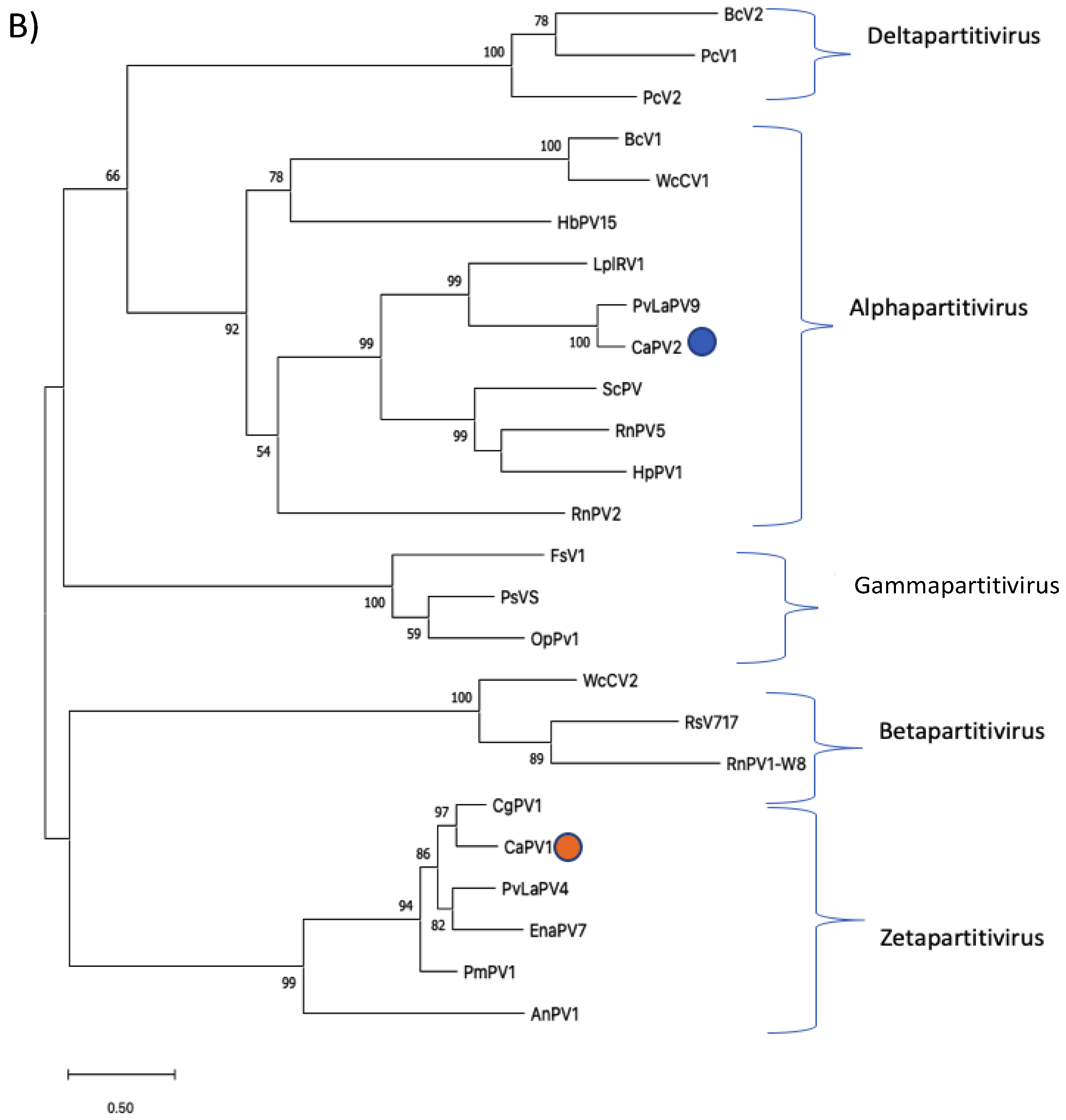 Viruses 14 02572 g003b